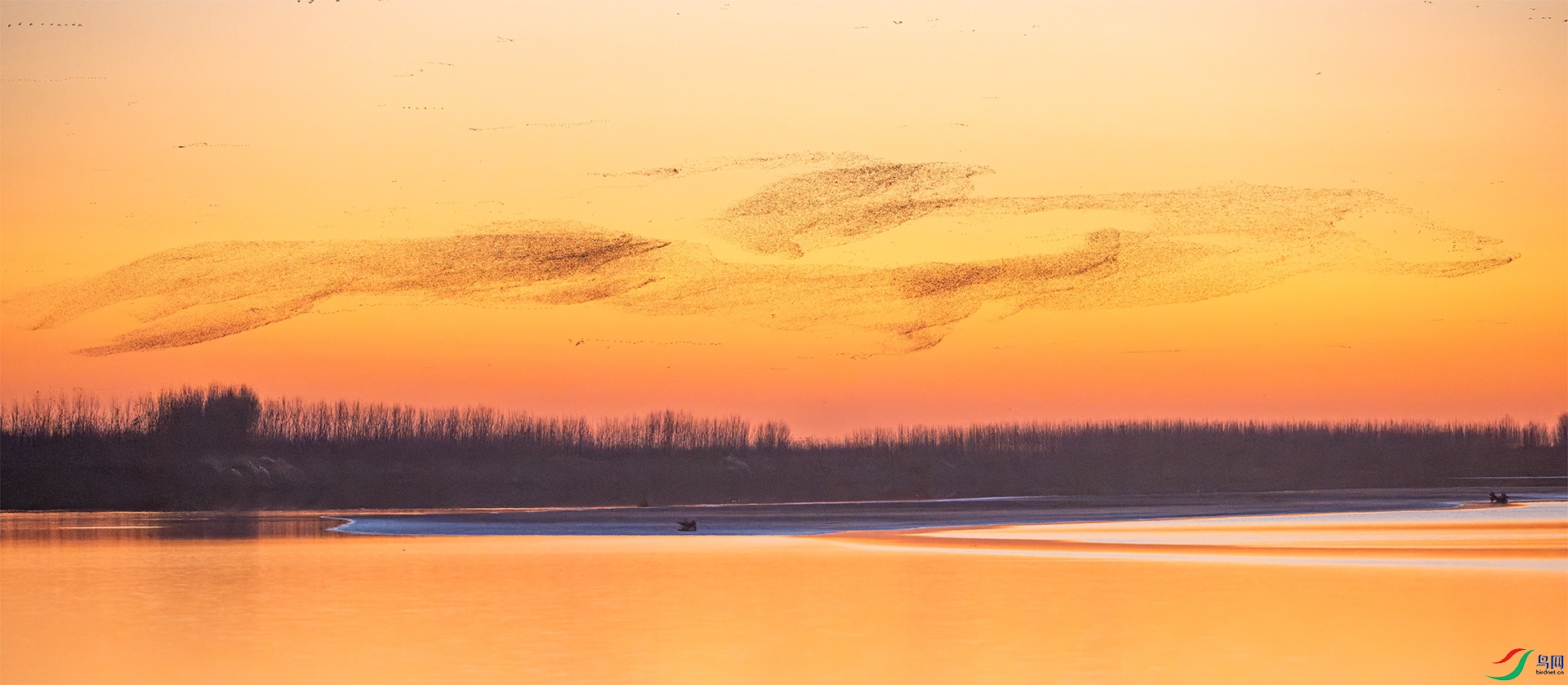 The Yellow River flies with birds and clouds.jpg