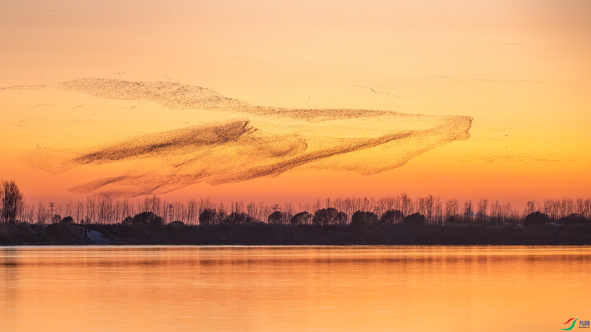Fly over the Yellow River.jpg