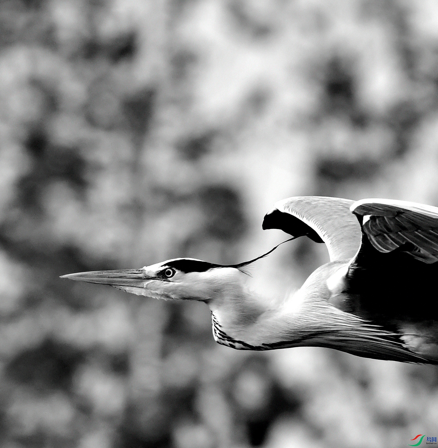 _DSC1844_01_01_01.JPG