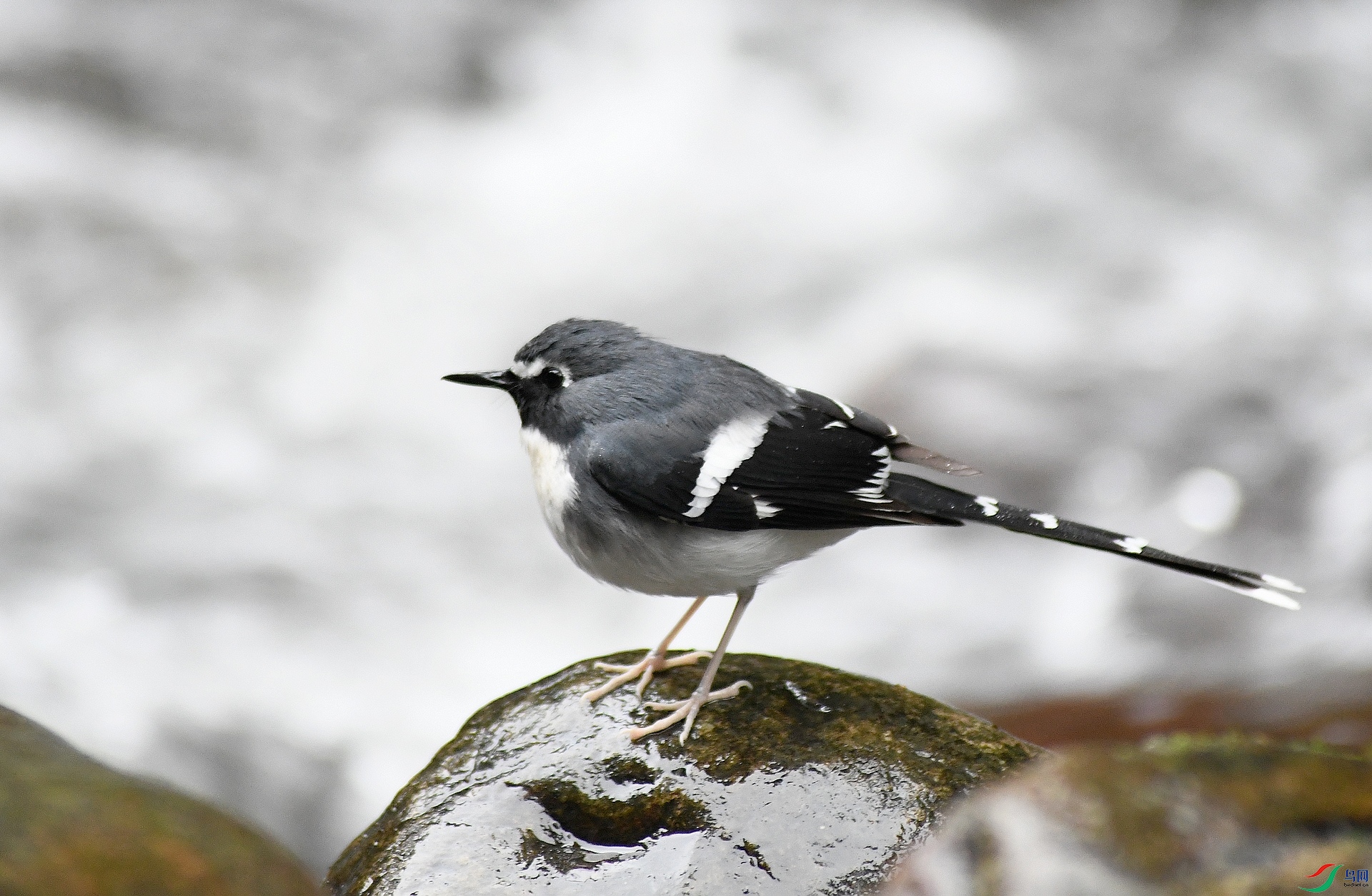 DSC_3696.jpg