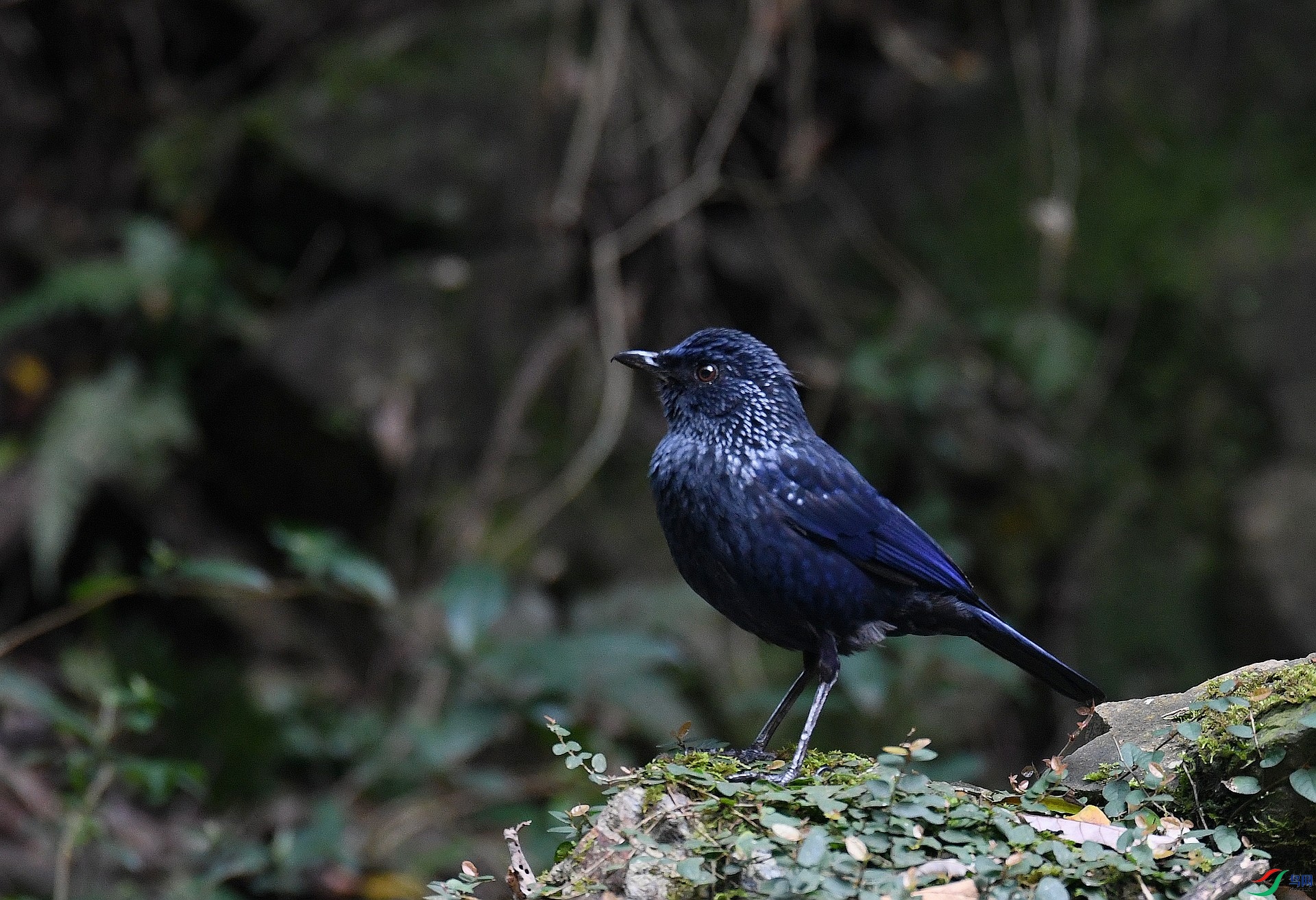 DSC_5159.jpg