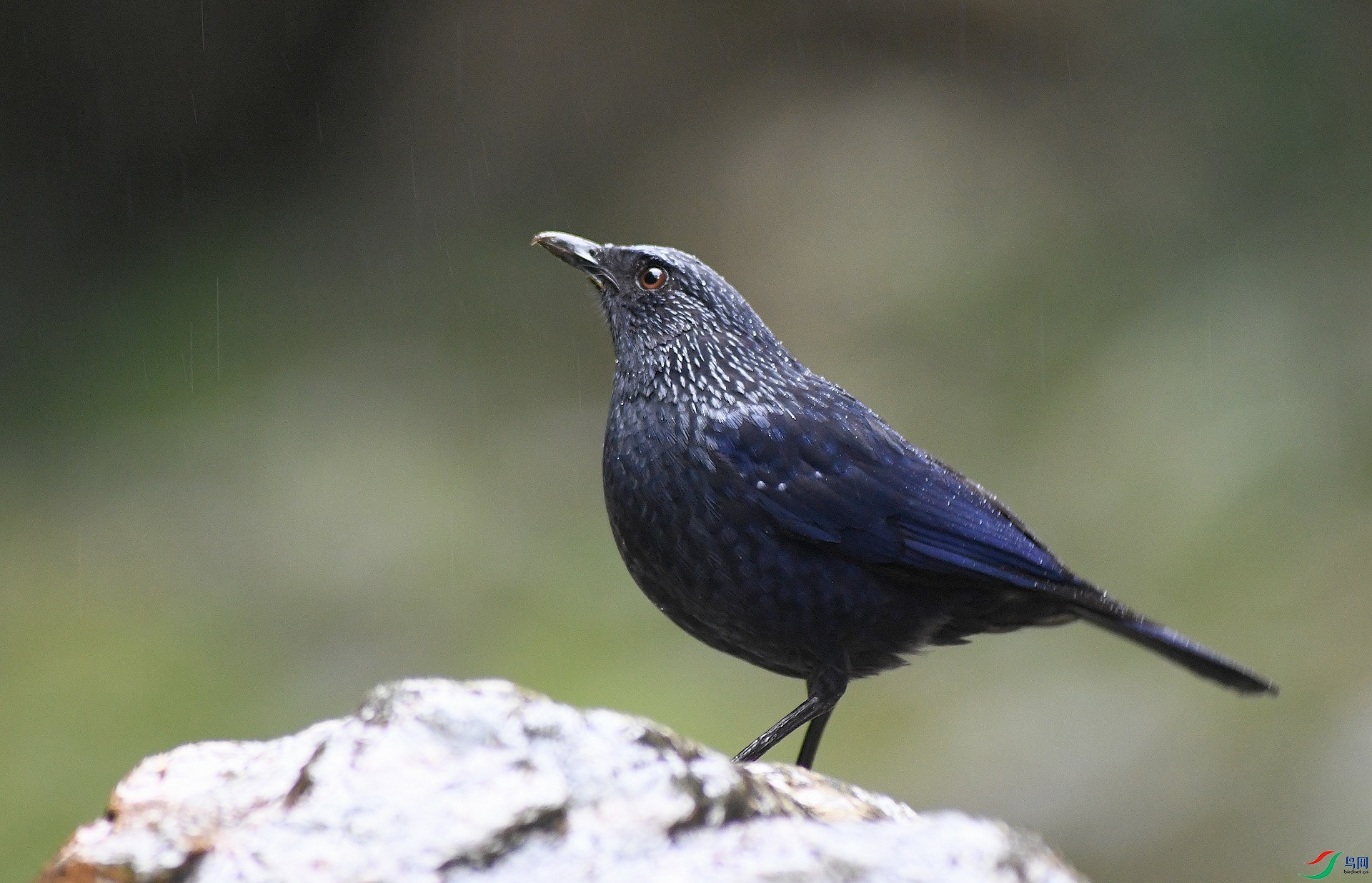 DSC_3911.jpg