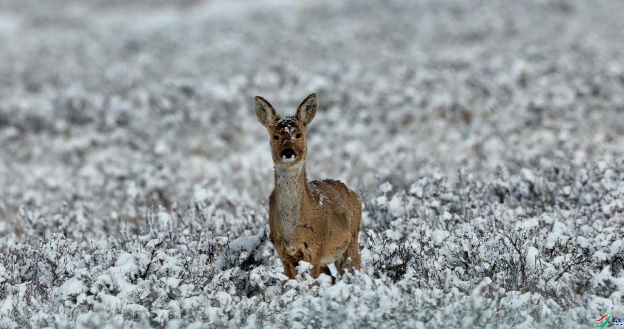 �� ��Ƶ-����.jpg