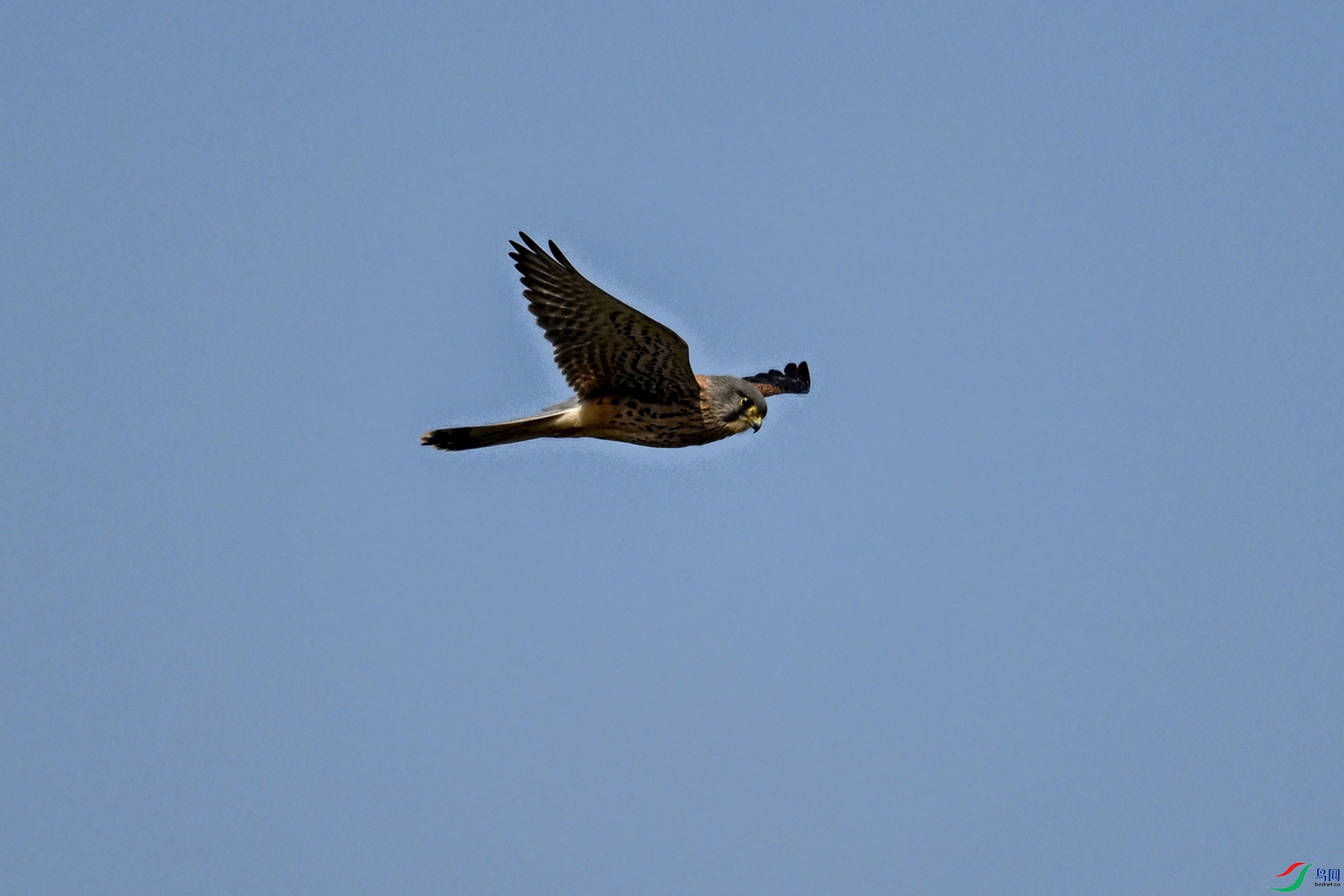 DSC_5877.JPG