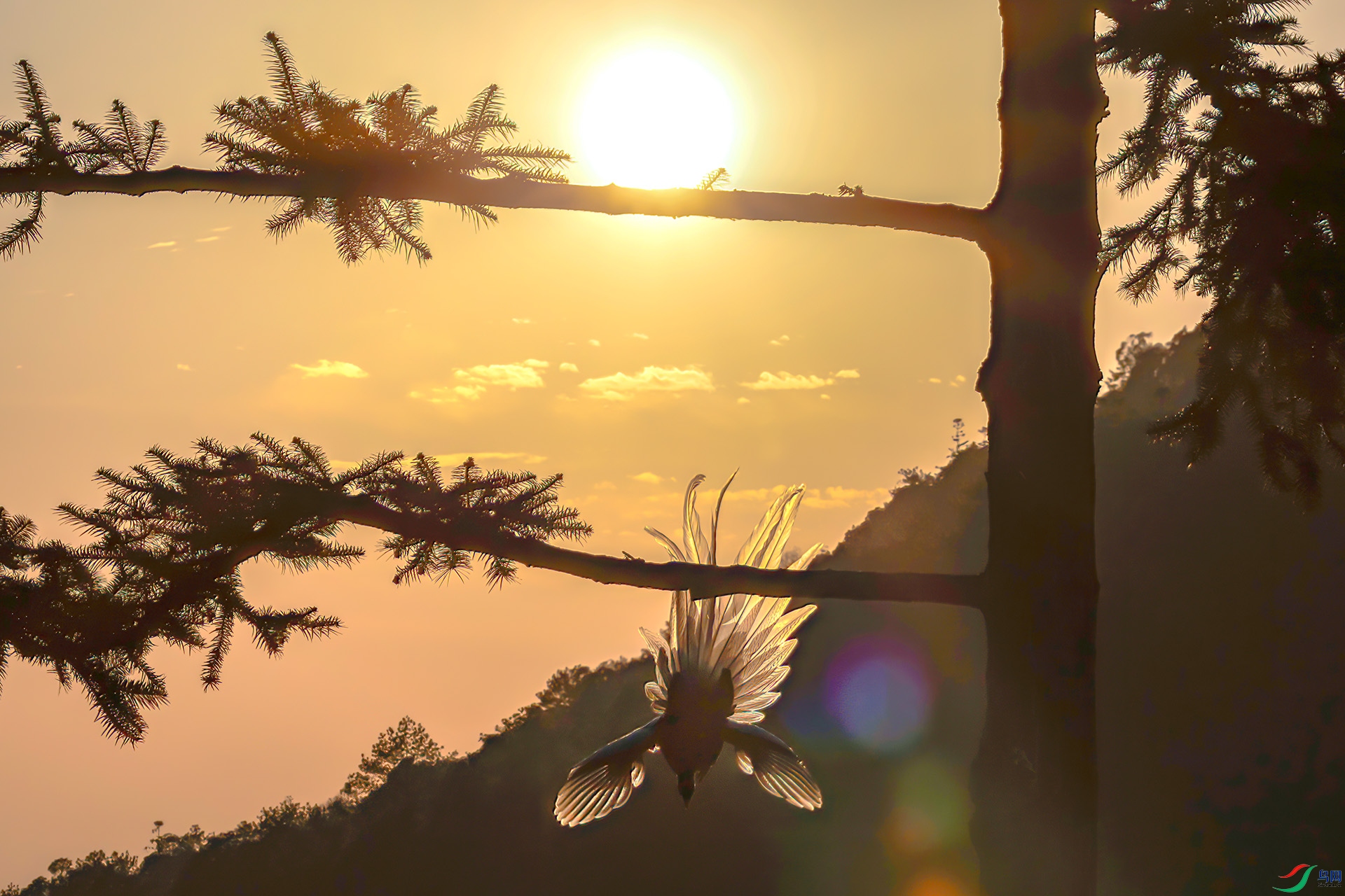 060A7826 ����-Sh----1 .jpg