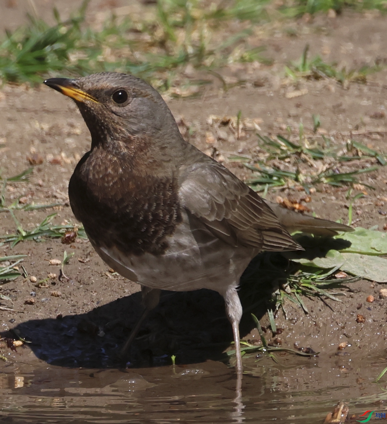 2V9A7924-1.jpg