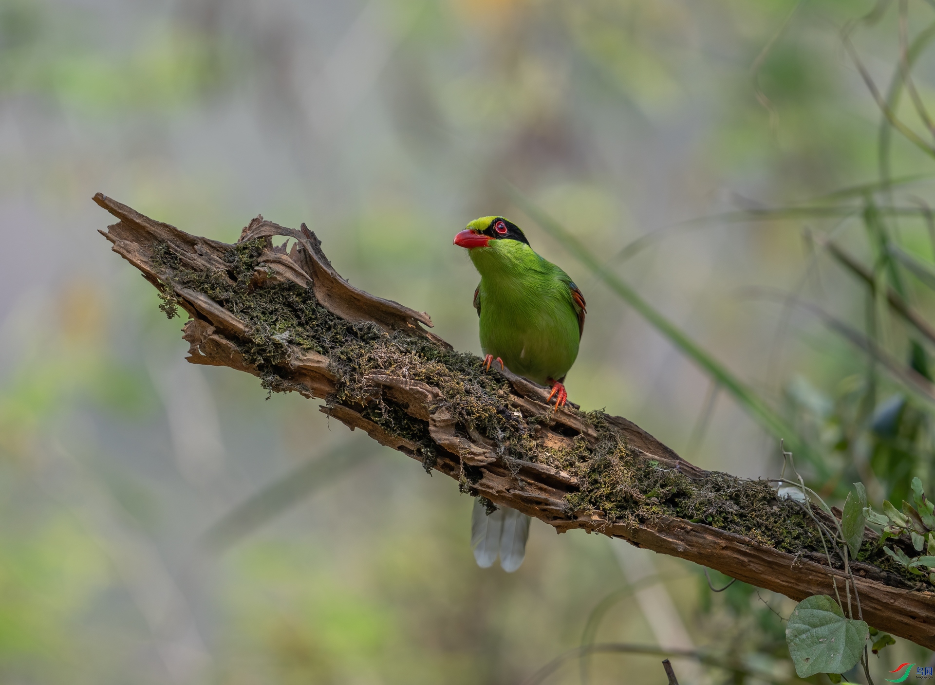 DSC_0179-1.jpg