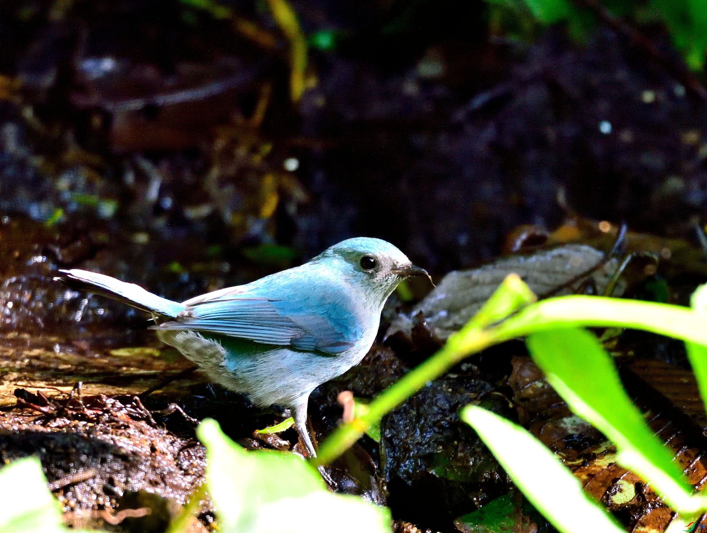 DSC_9958.JPG