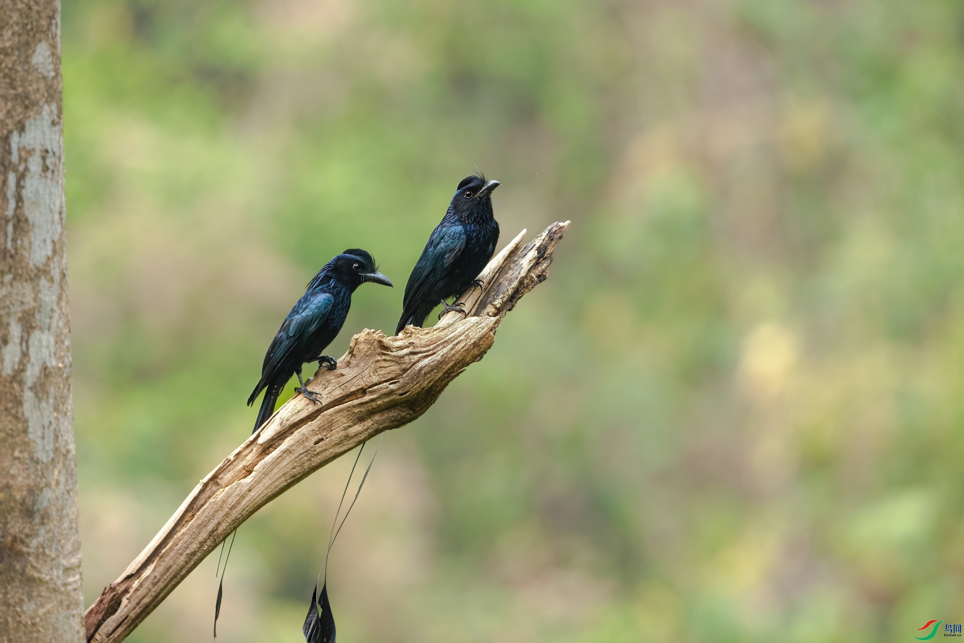 a_70435-1.jpg