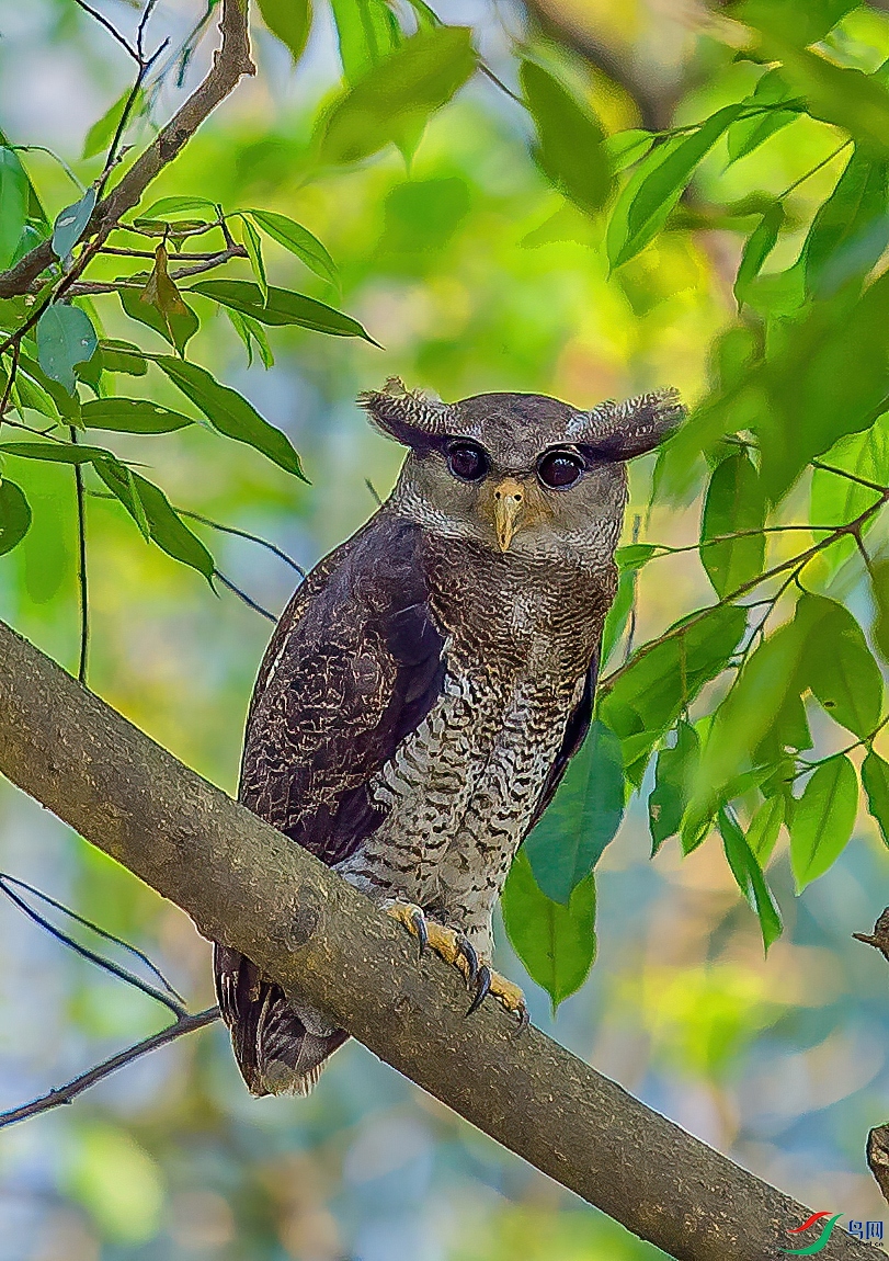 _DSC2246-1.jpg