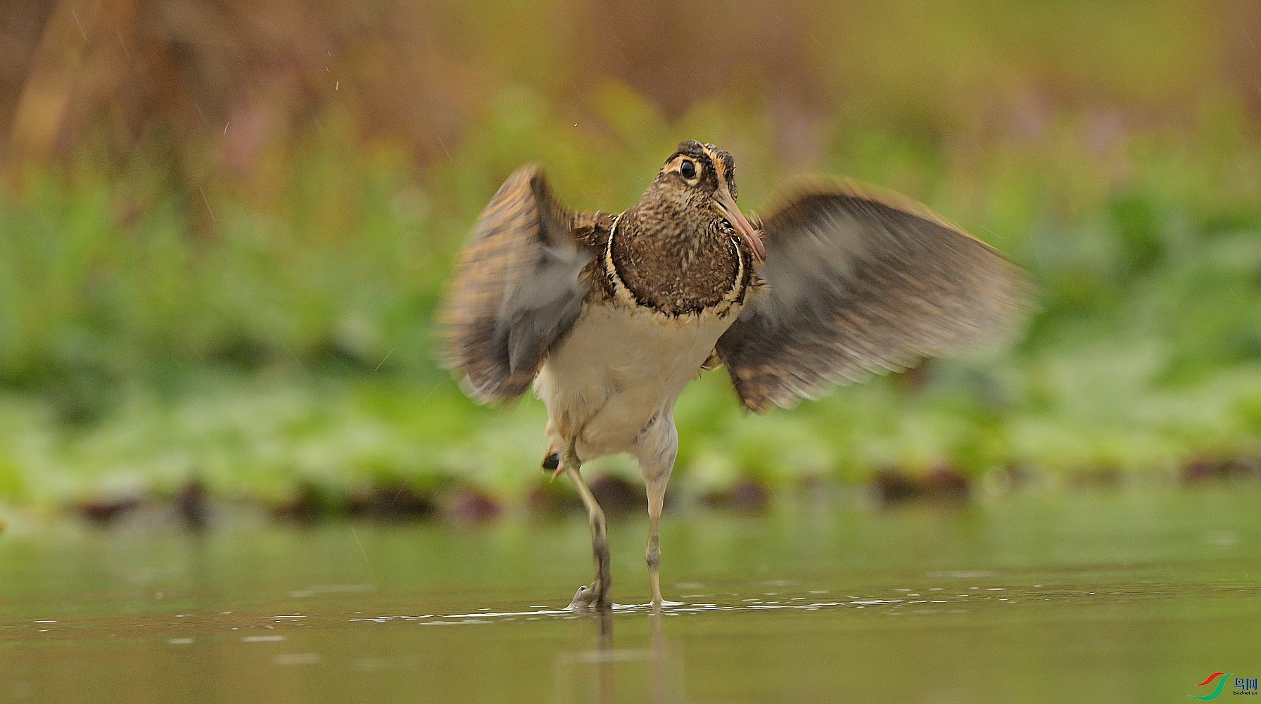 {6129F9C4-8E85-43F6-9778-ABC95CA80356} ����.jpg