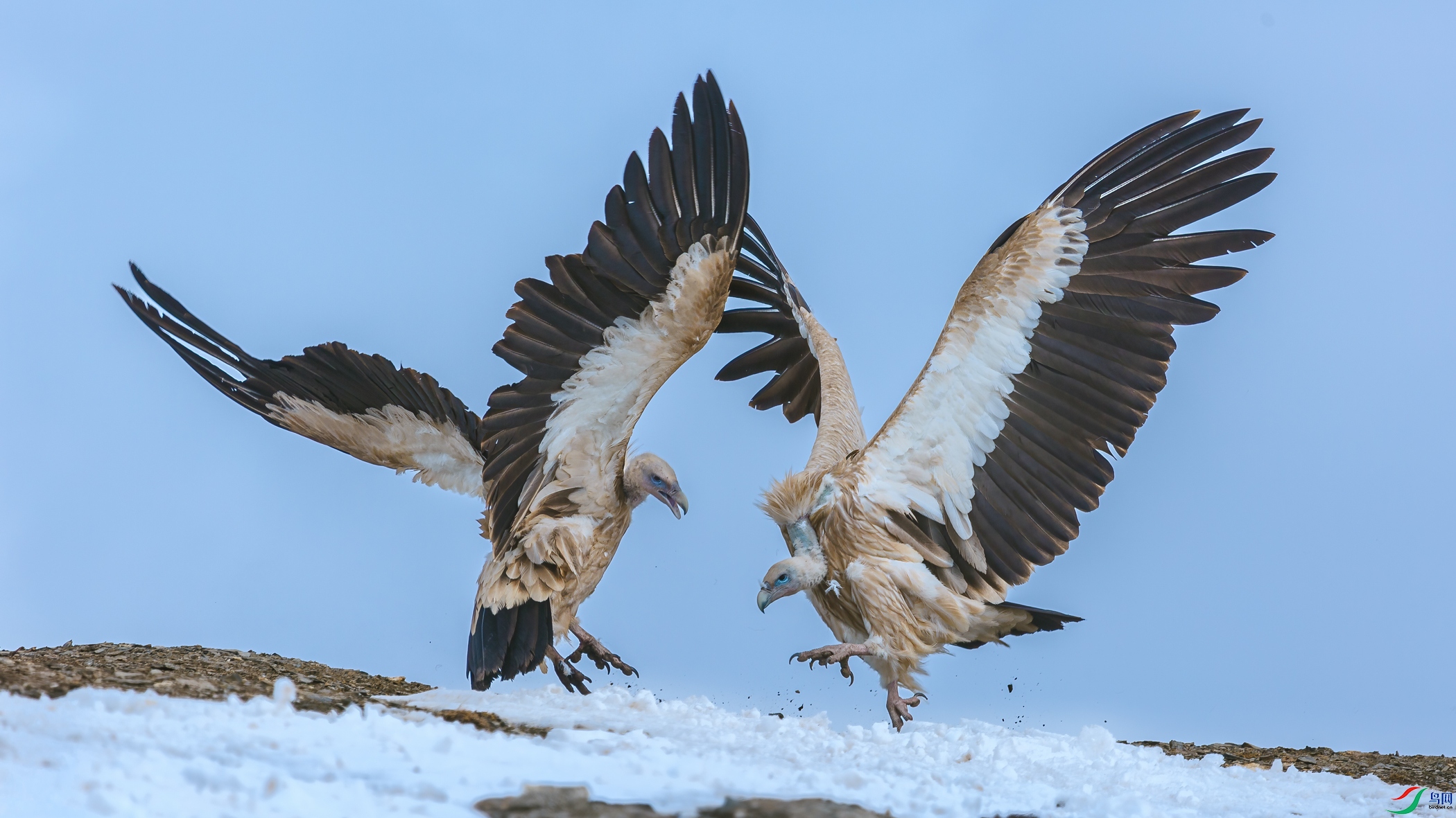 ��ɽأ��070A0954.jpg