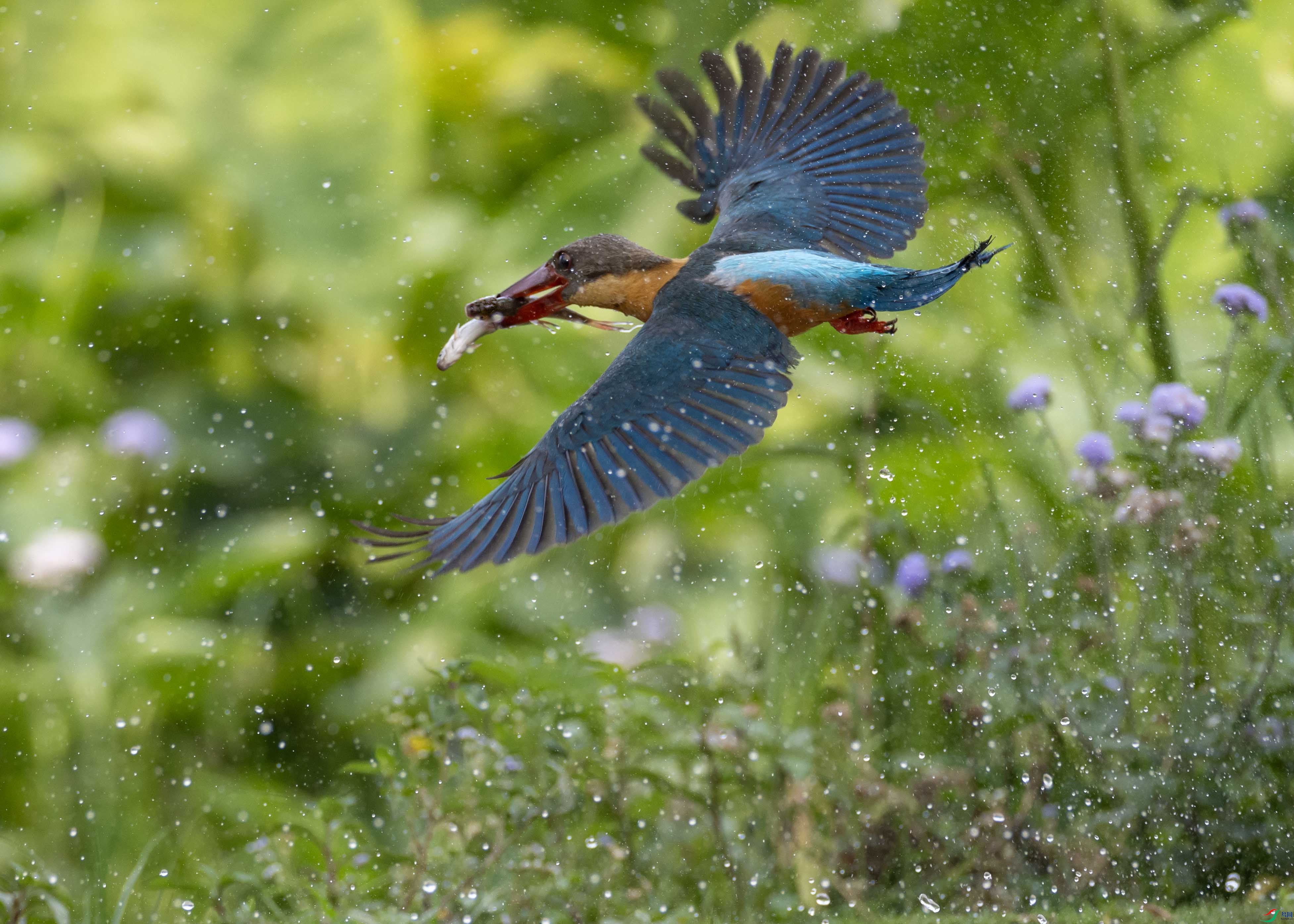 1-xt˫��4L2A0779 ����.jpg