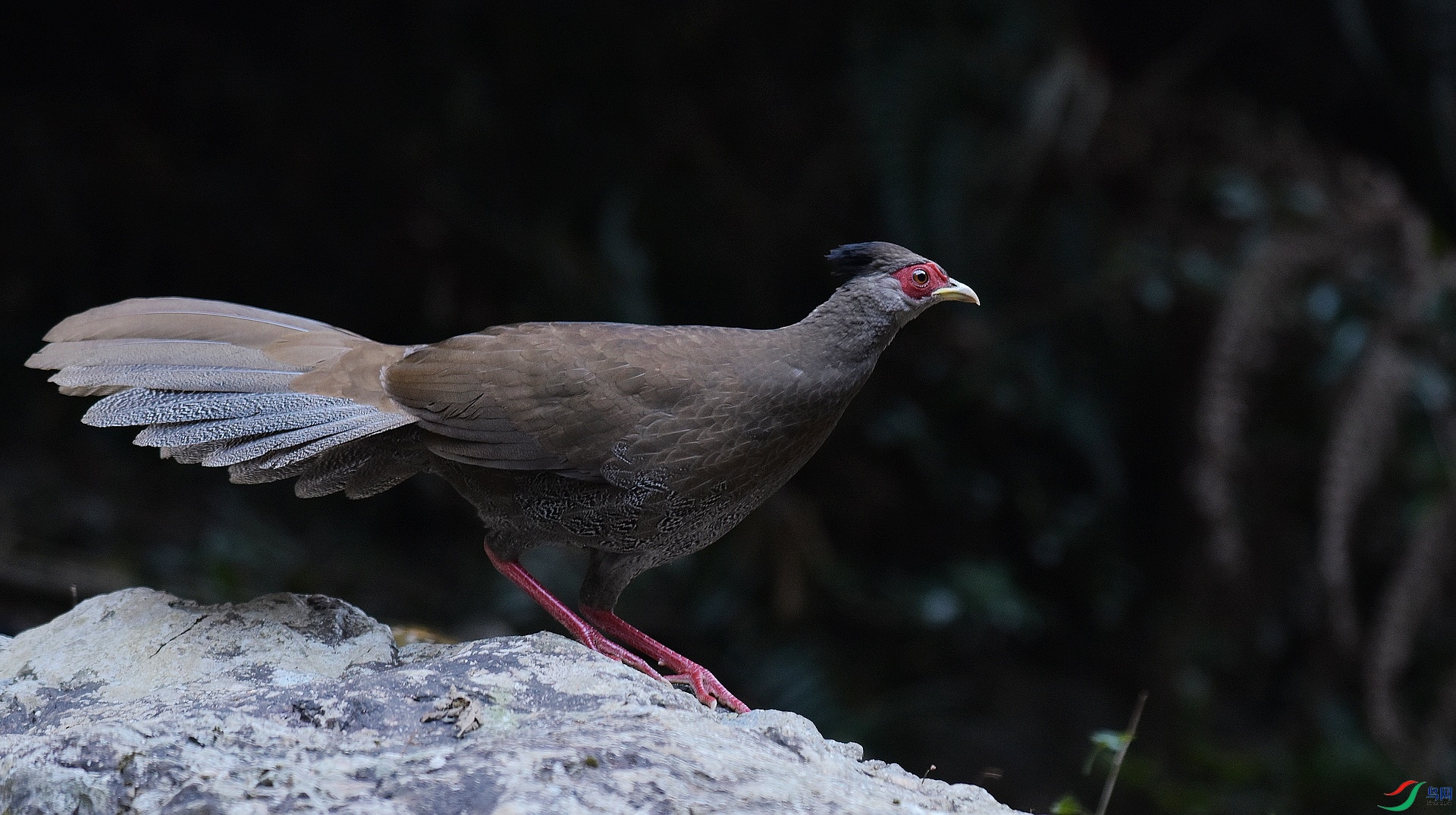 D72_2089.jpg
