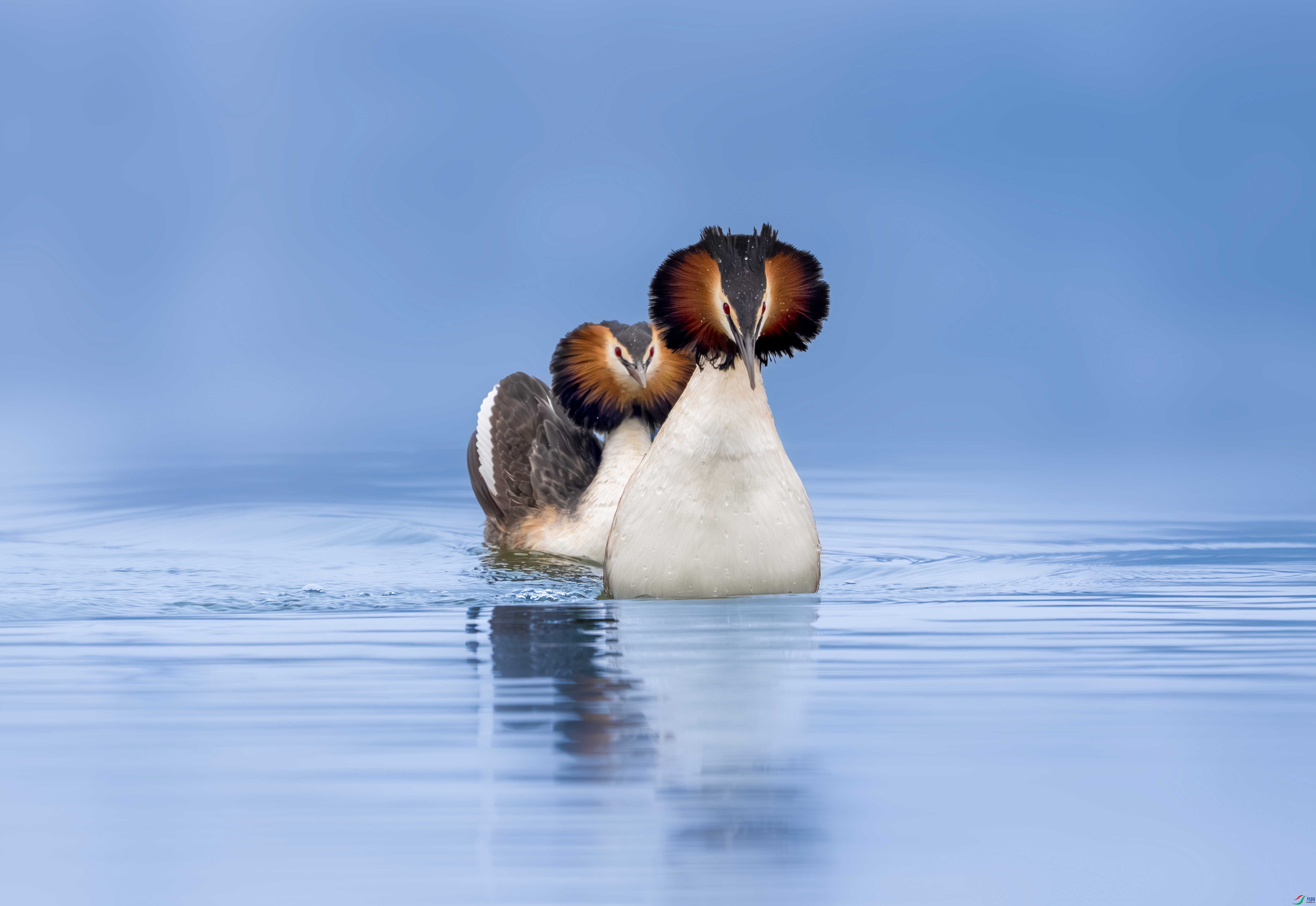 DSC06497-����ǿ-NR ���� 2.jpg