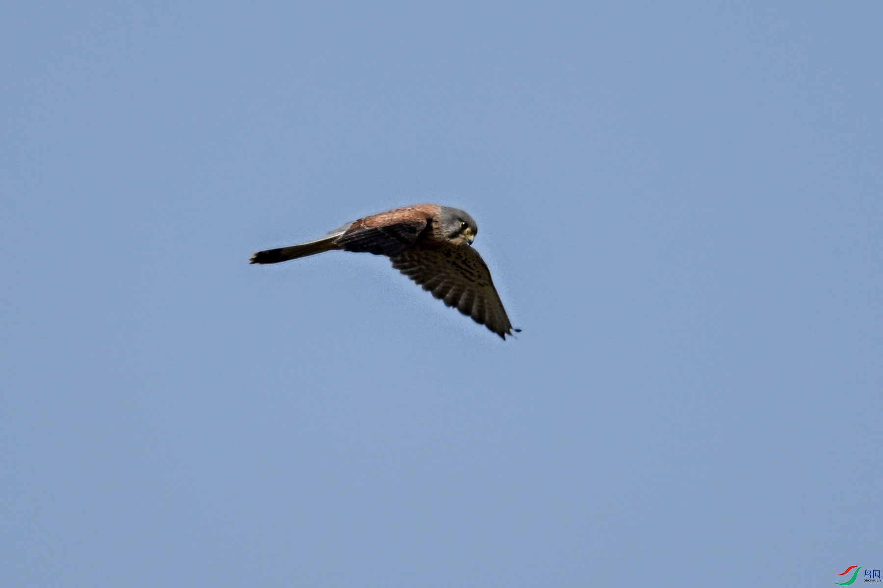 DSC_5878.JPG