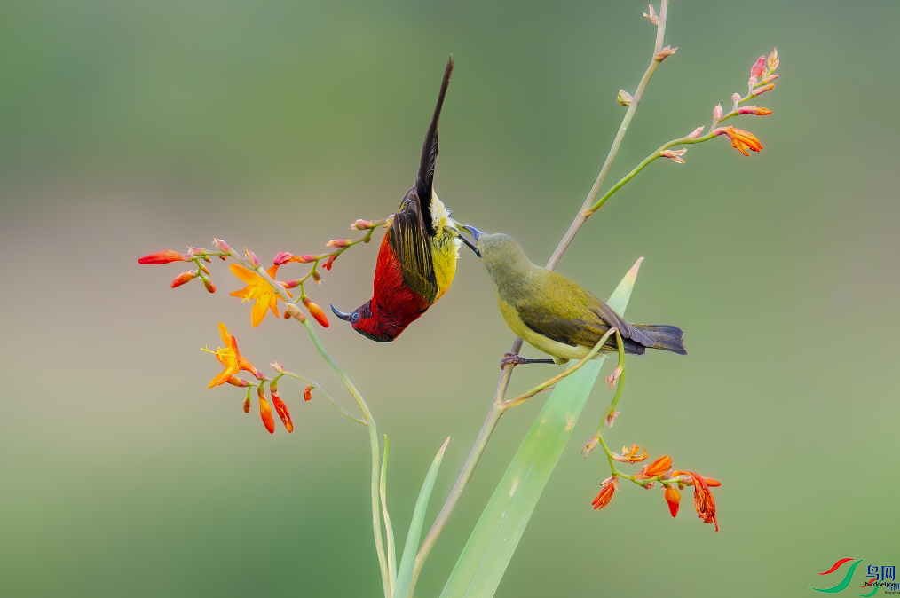 �������ѡ����������桷���ٻ����Ѿ�������ɽ���� 2.png