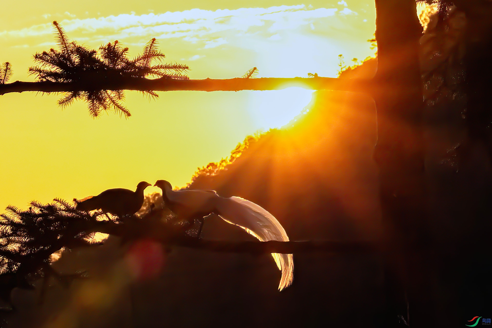 060A9777 ����-Sh---1 .jpg