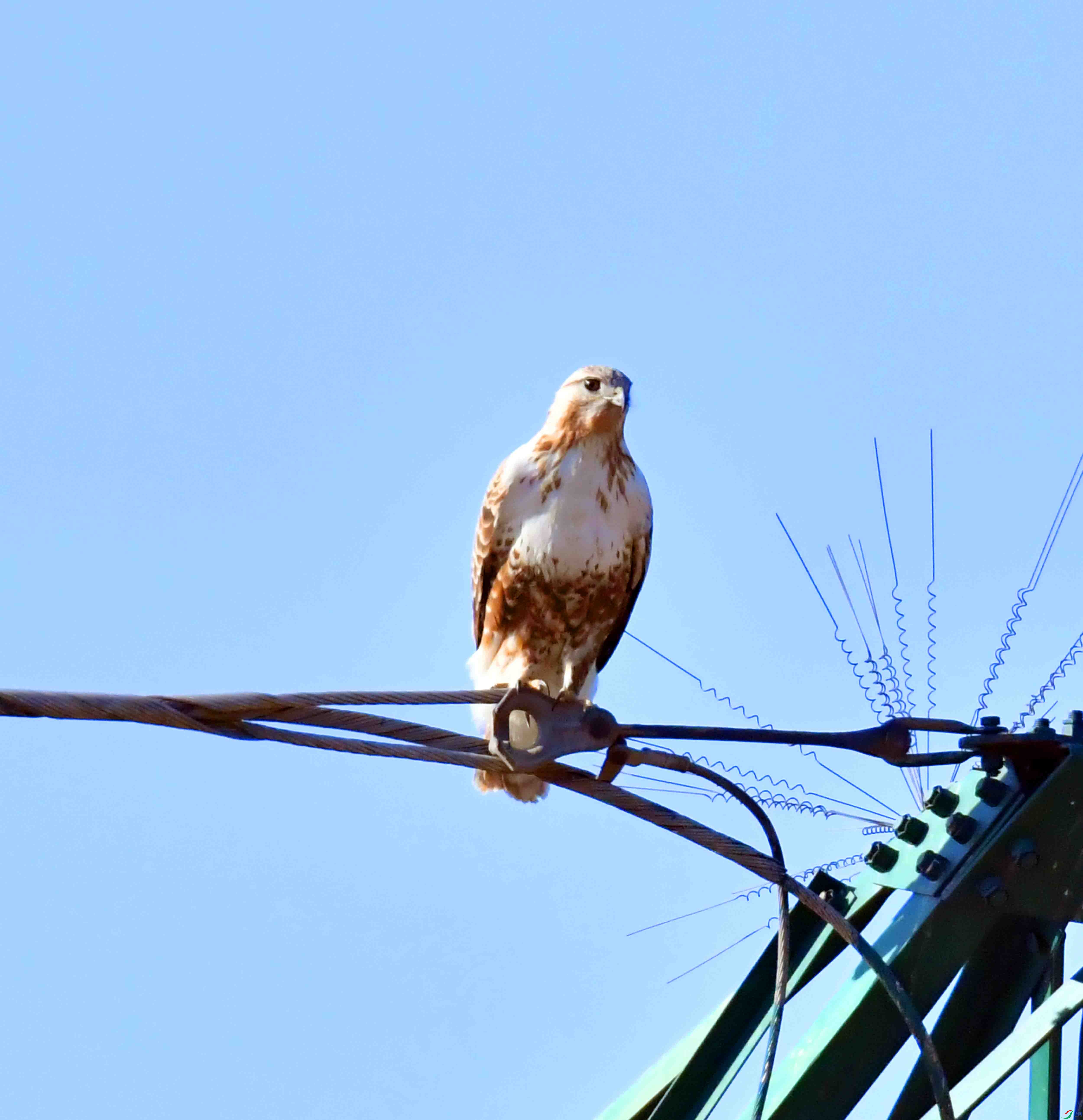 DSC_9096.JPG