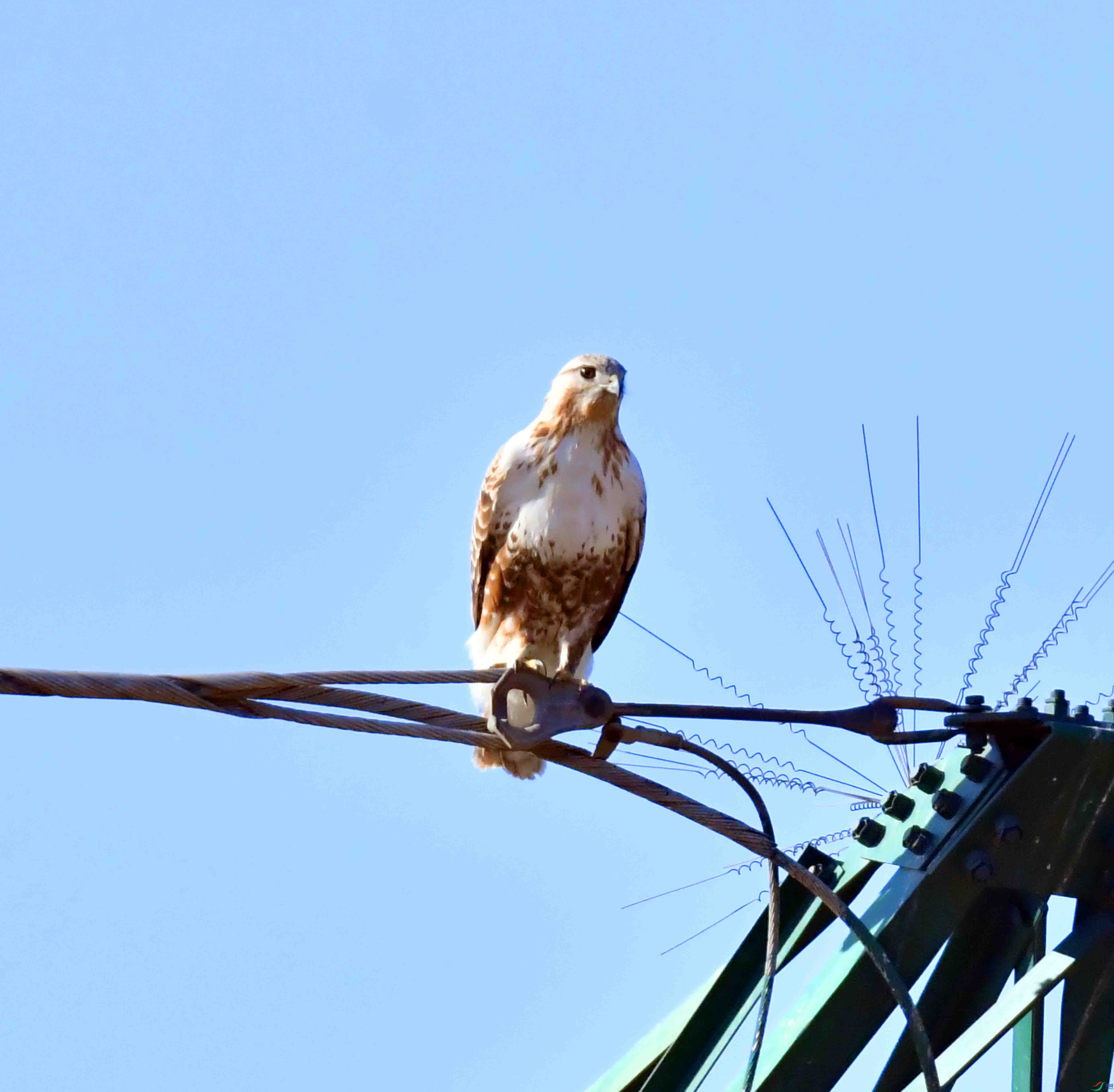 DSC_9095.JPG