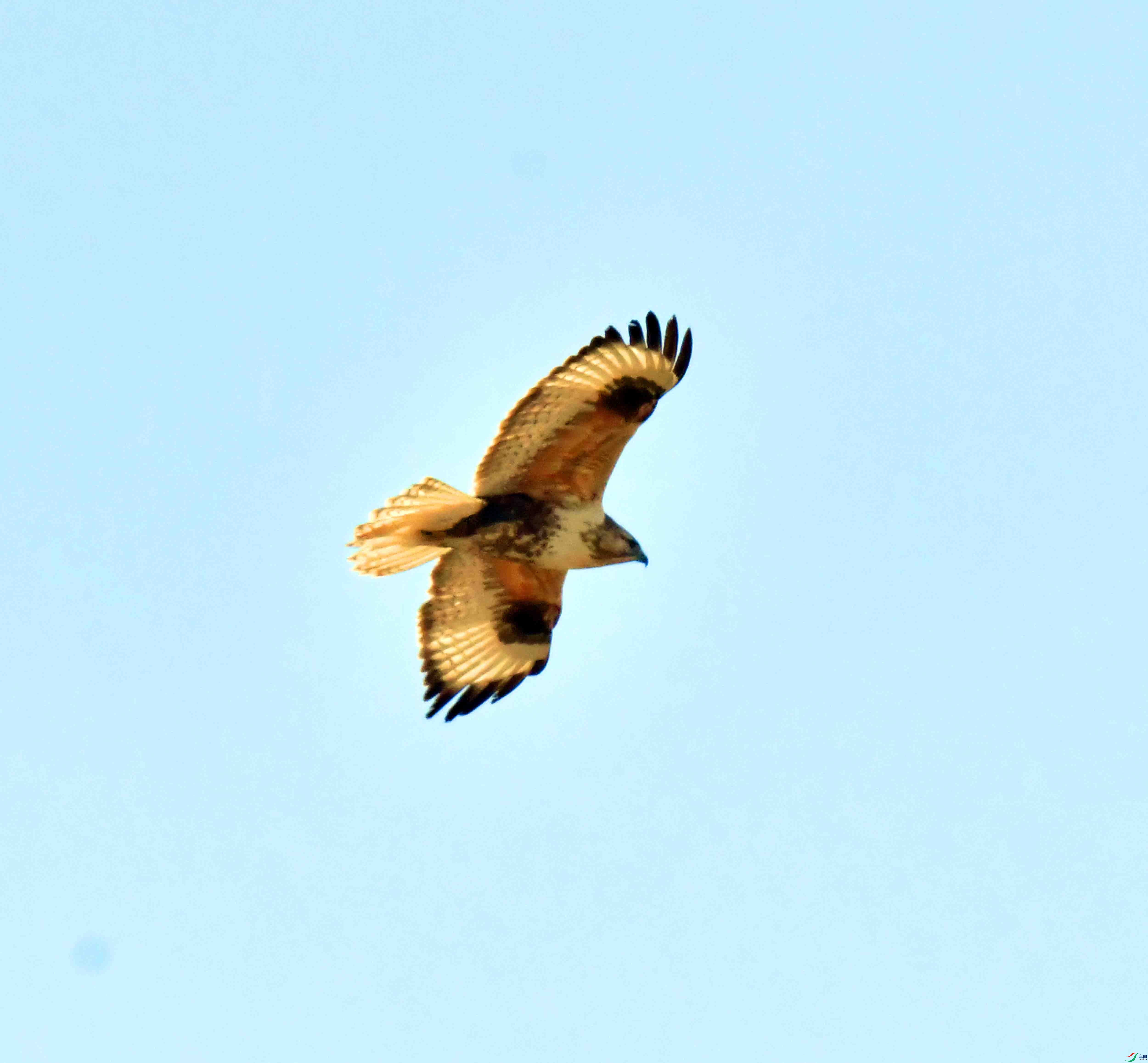 DSC_9535.JPG