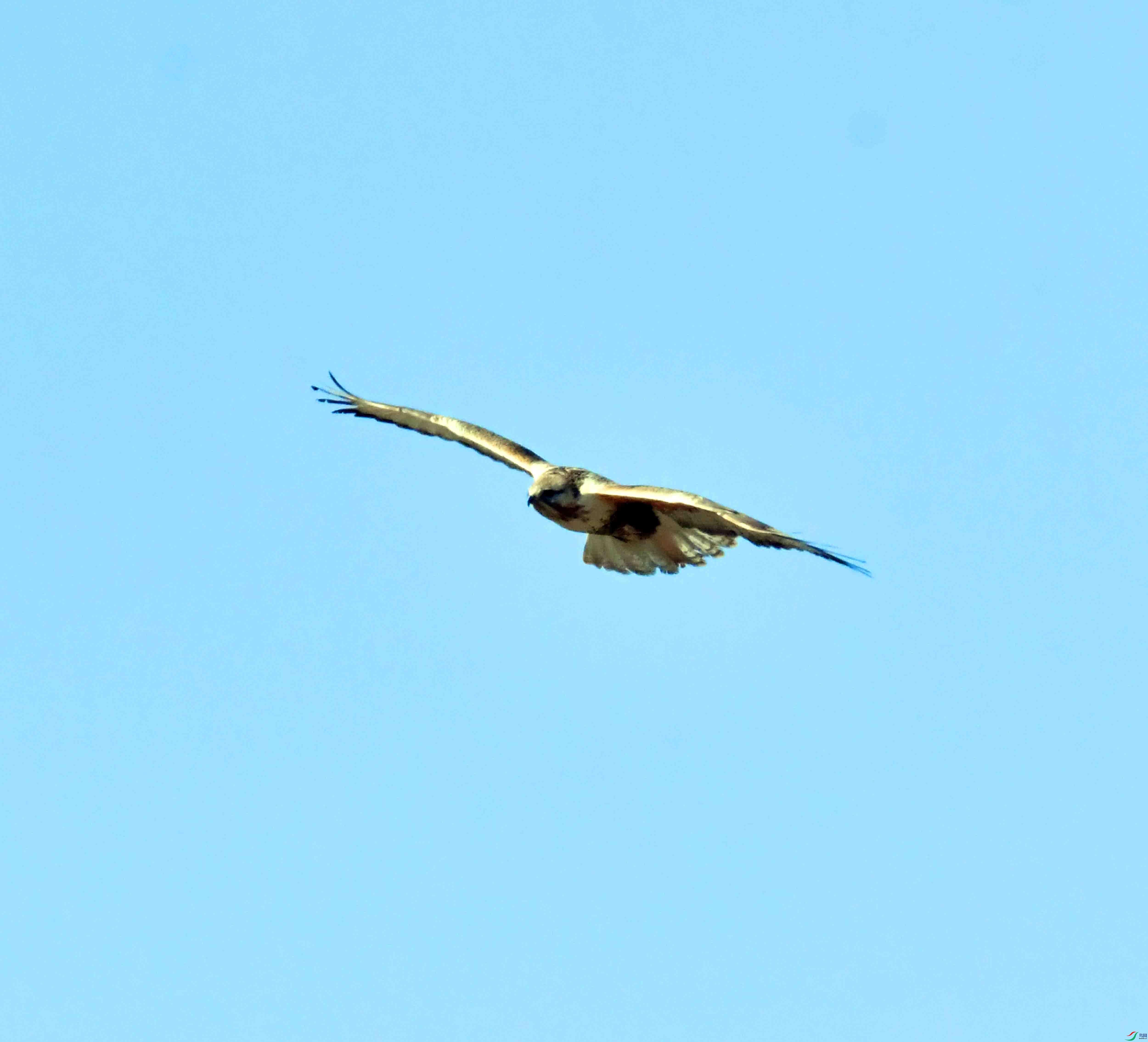 DSC_9540.JPG
