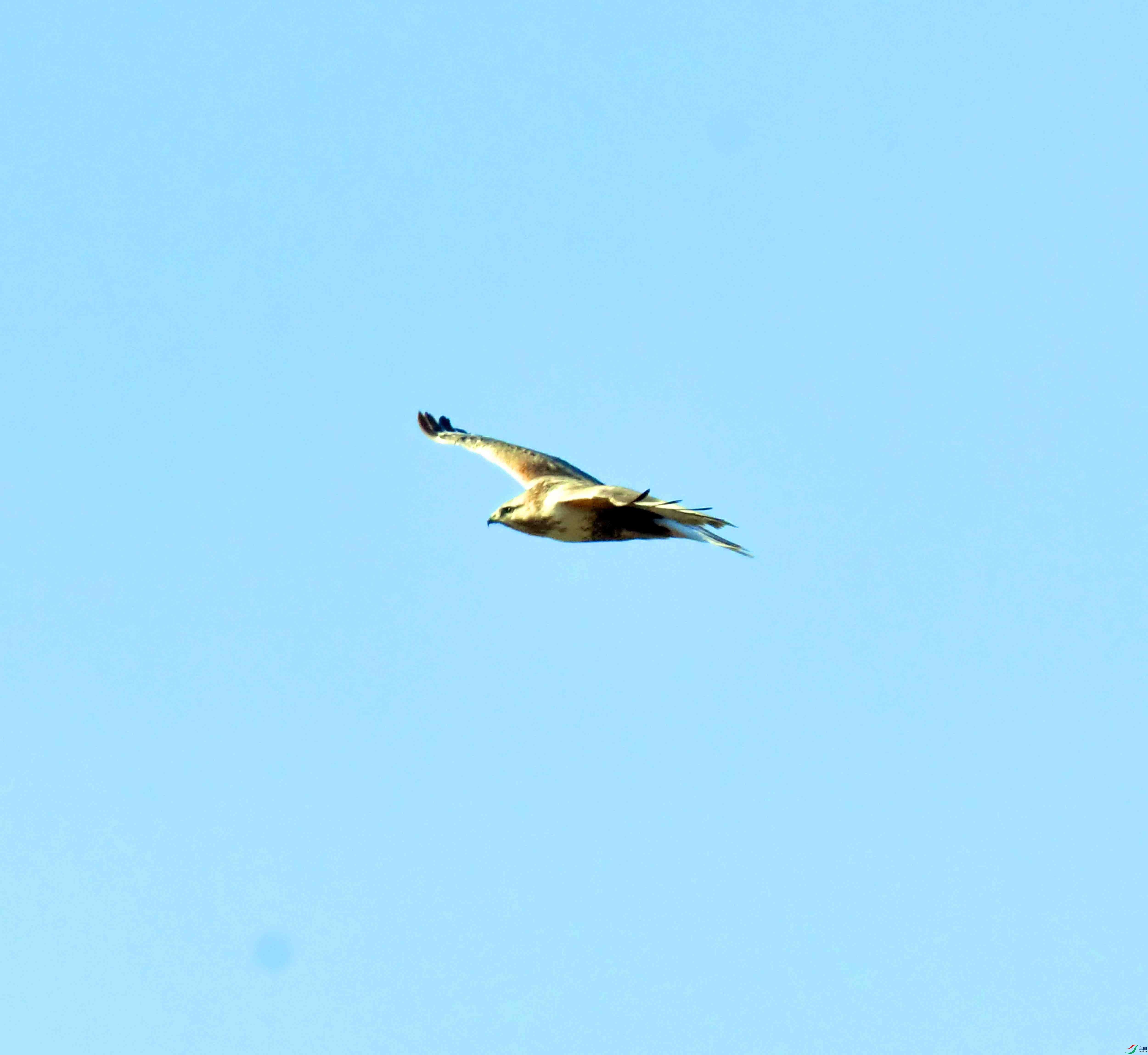 DSC_9539.JPG