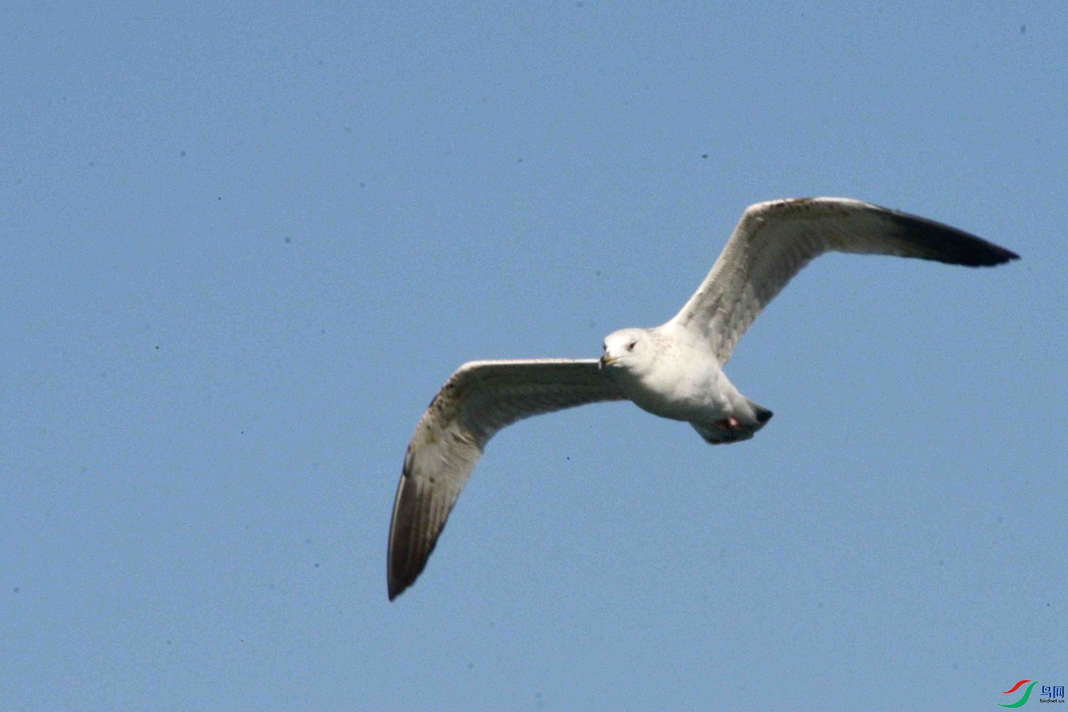 DSC_9721.JPG