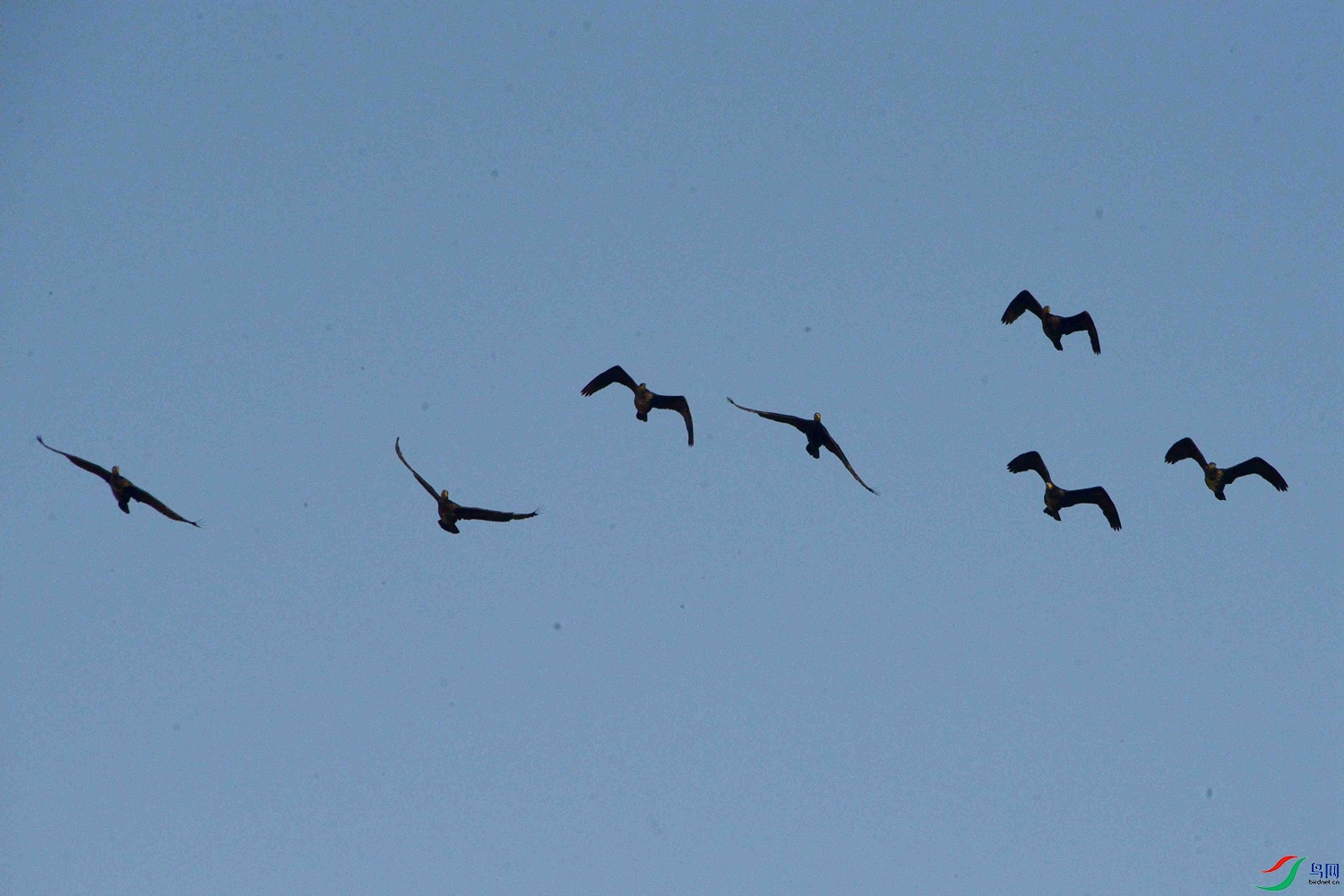 DSC_0182.JPG