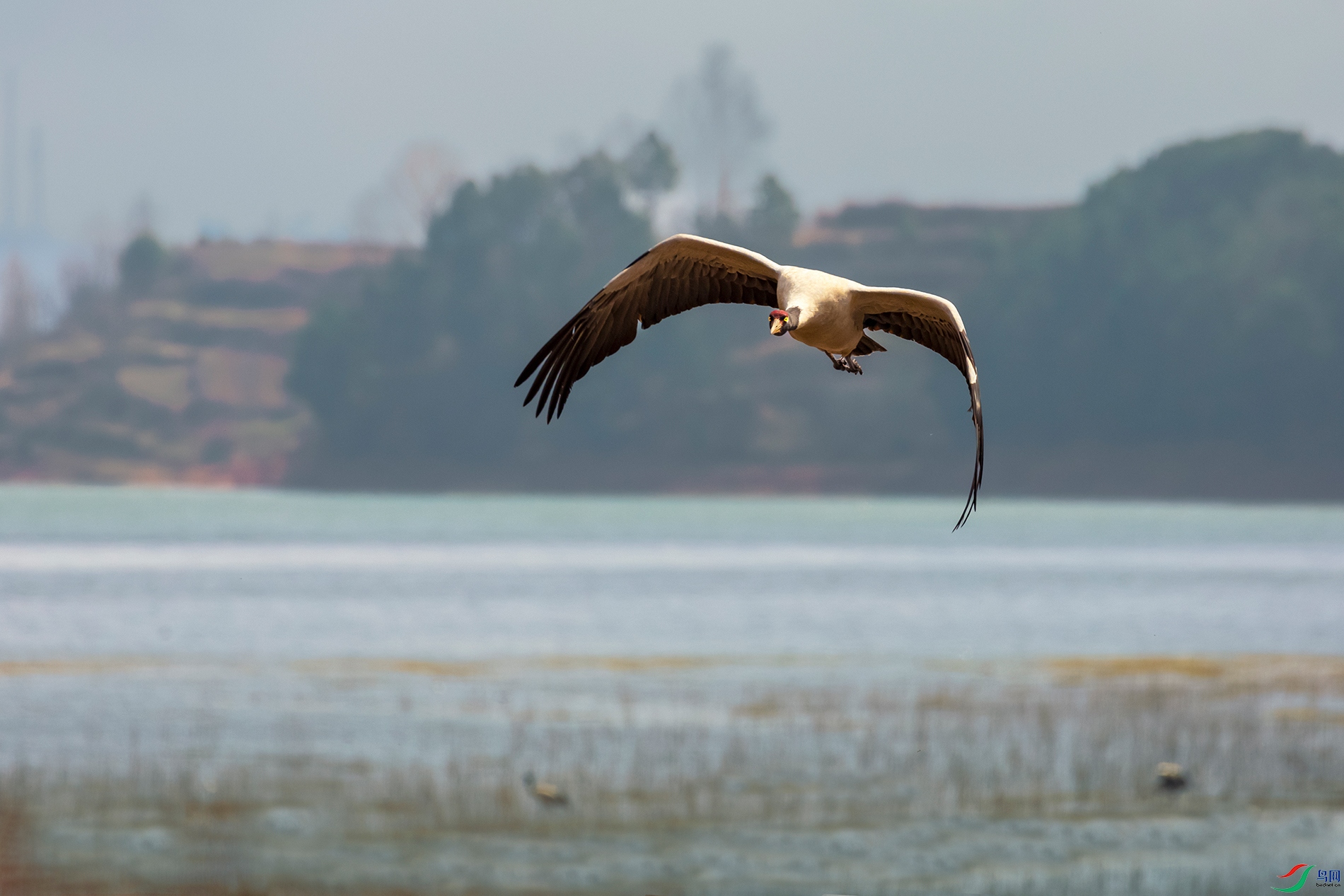 �ھ���----���ɰ���ɽˮ��