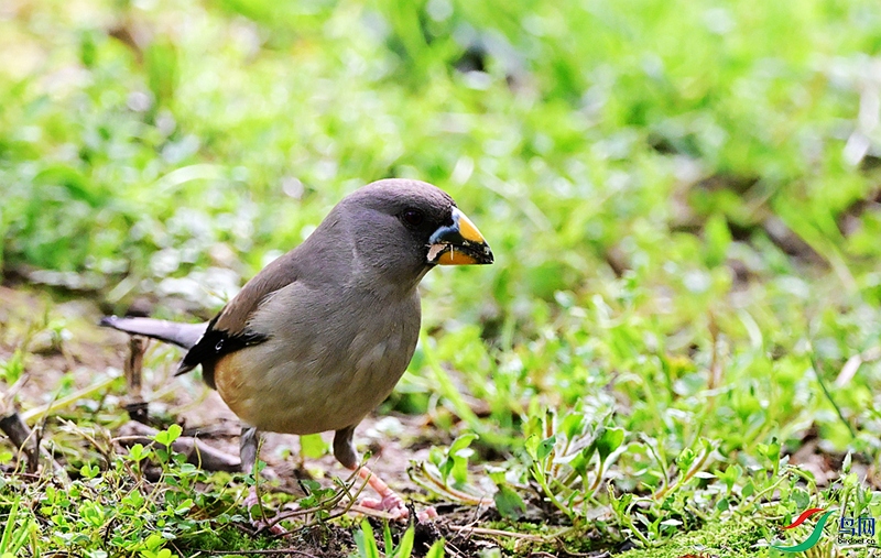 DSC_2122.JPG
