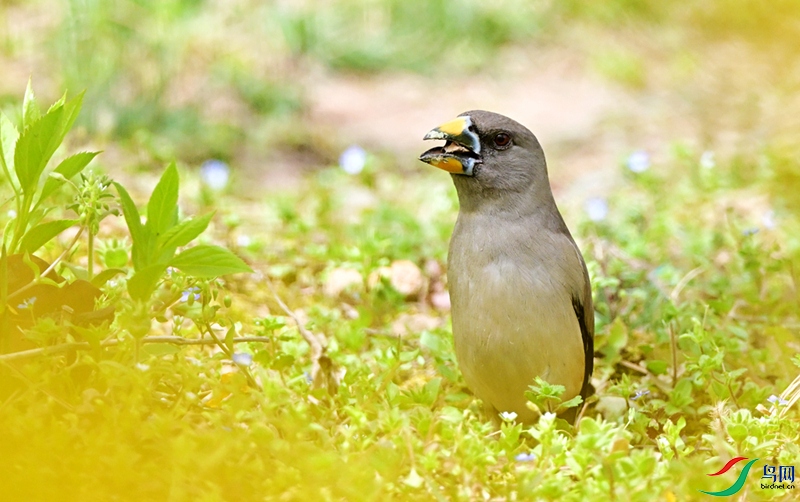DSC_2790.JPG