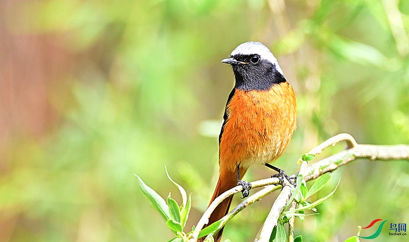 DSC_9665.JPG