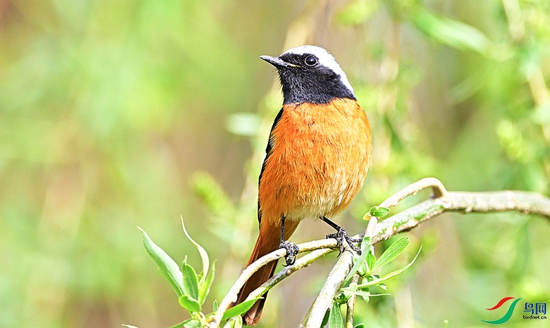DSC_9673.JPG