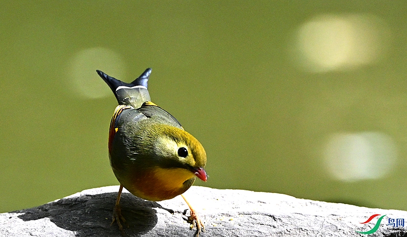 DSC_2417.JPG