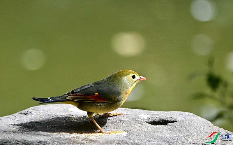 DSC_2487.JPG