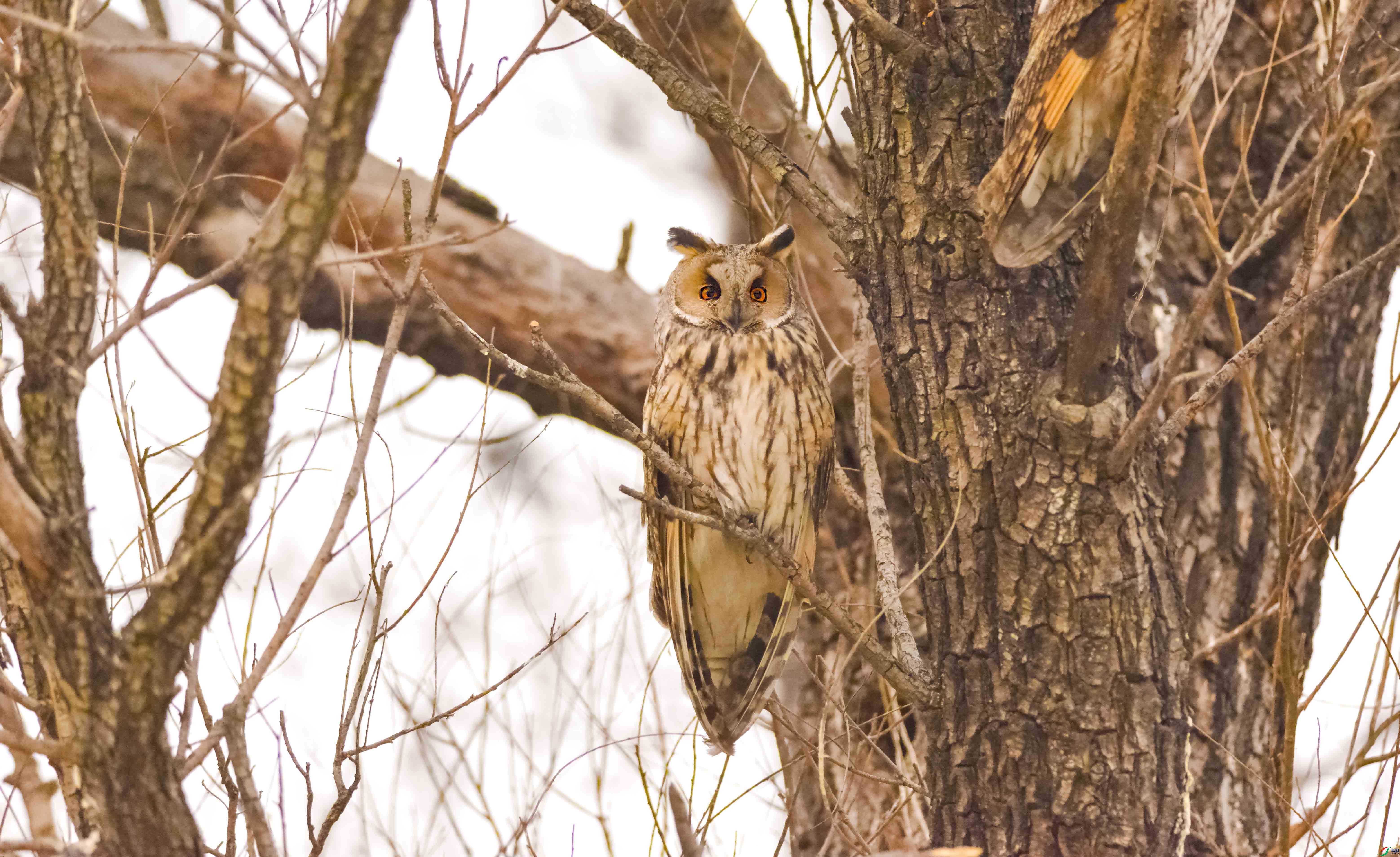 DSC_7815.jpg
