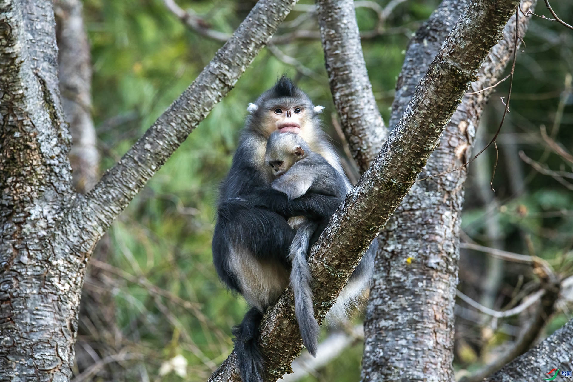 DSC_7352.jpg