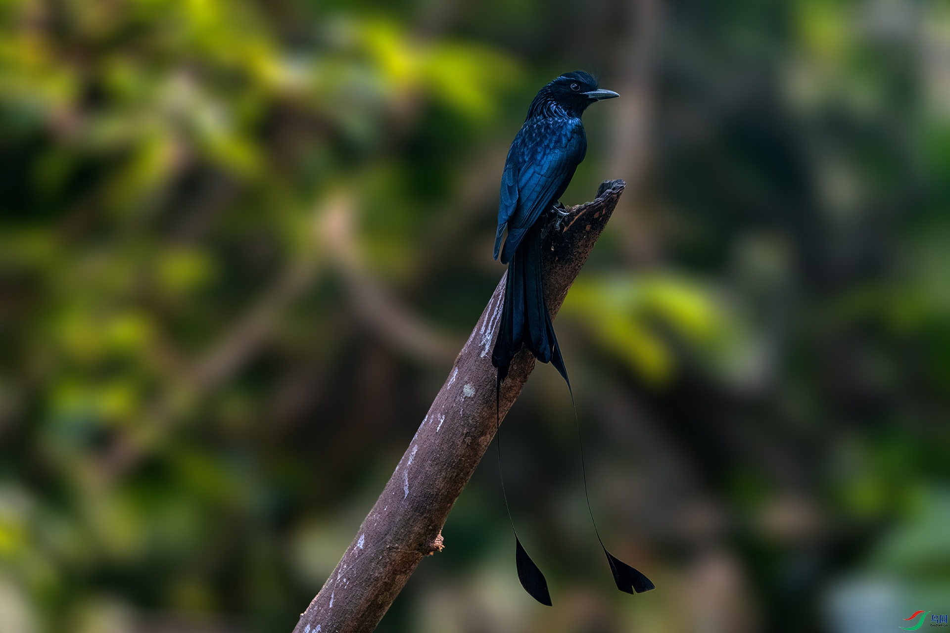 _AUU9124����β(24.2.22).jpg