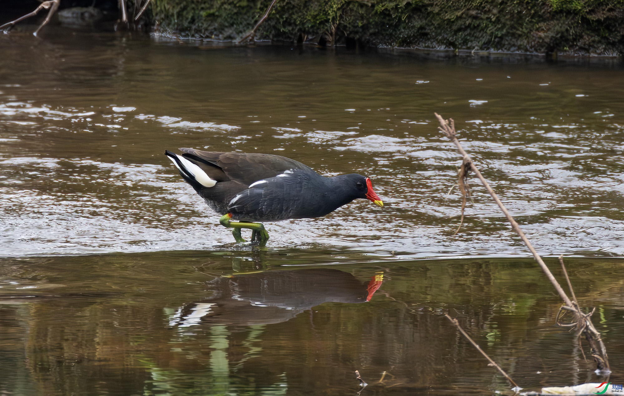 2I1A8847-����ǿ-NR ����.jpg