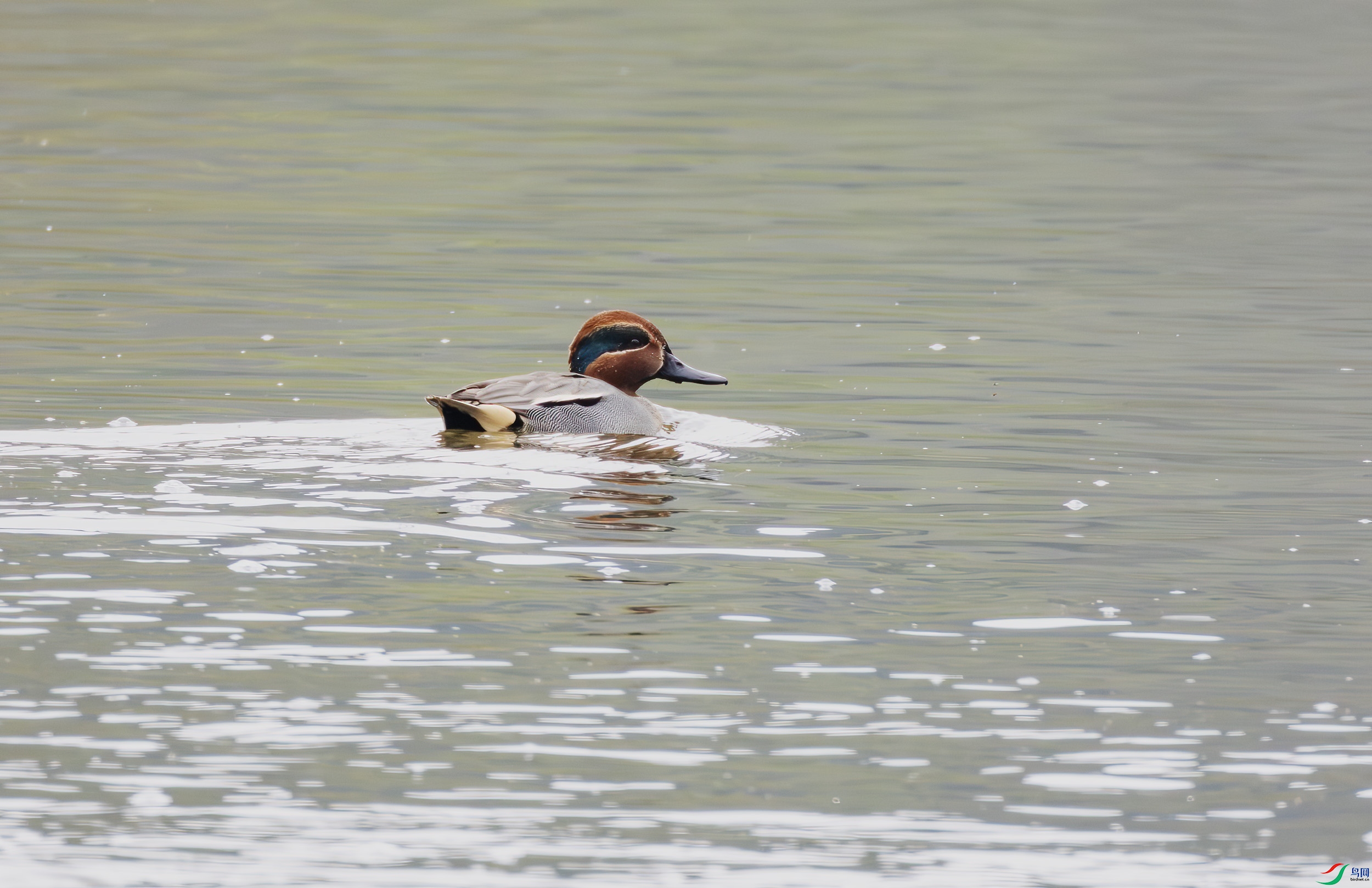 2I1A8962-����ǿ-NR ����.jpg