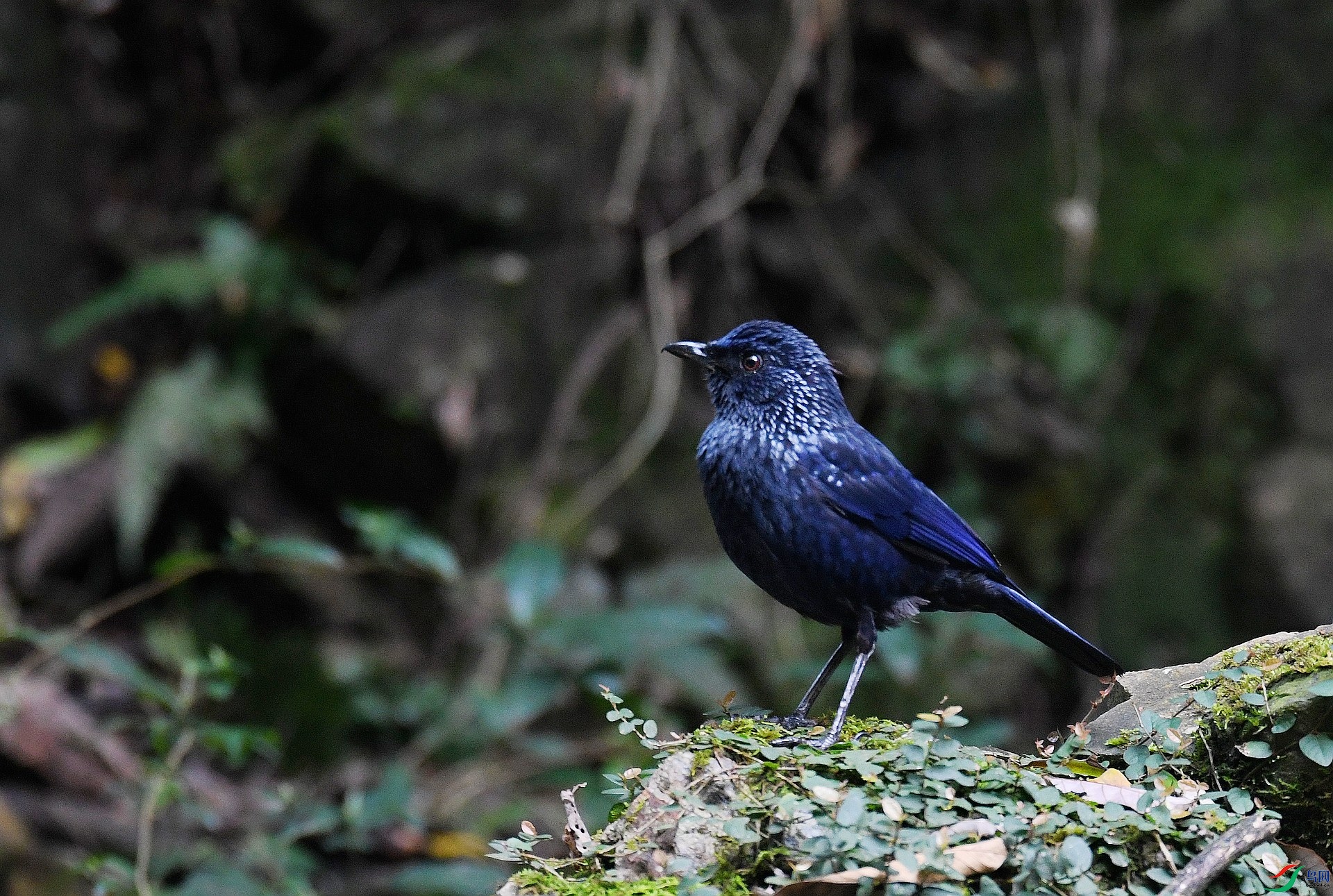 DSC_5160.jpg