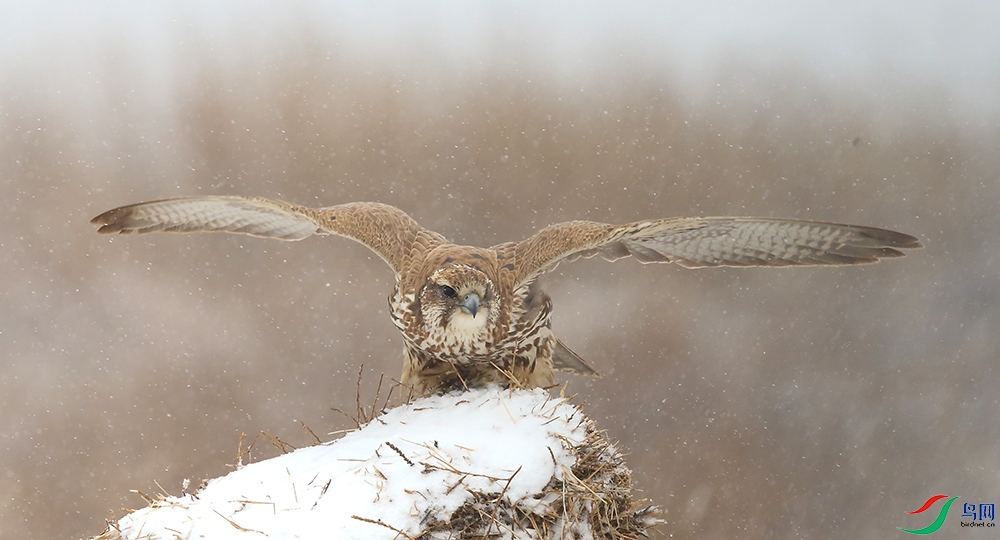 �ұ��� (2).JPG