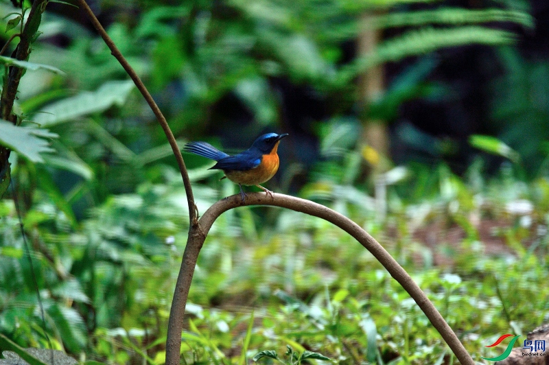 DSC_7924.JPG
