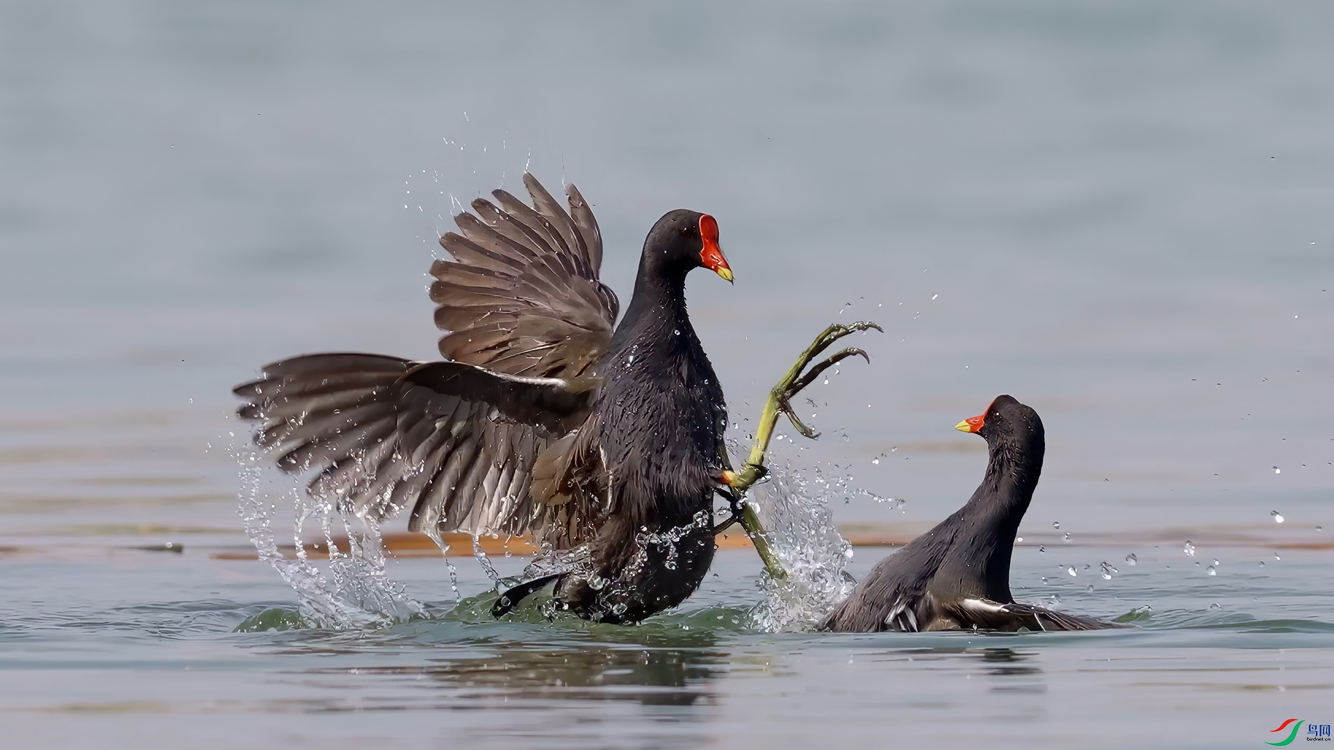 ��֡ 2025-04-03 163047_1.2.jpg