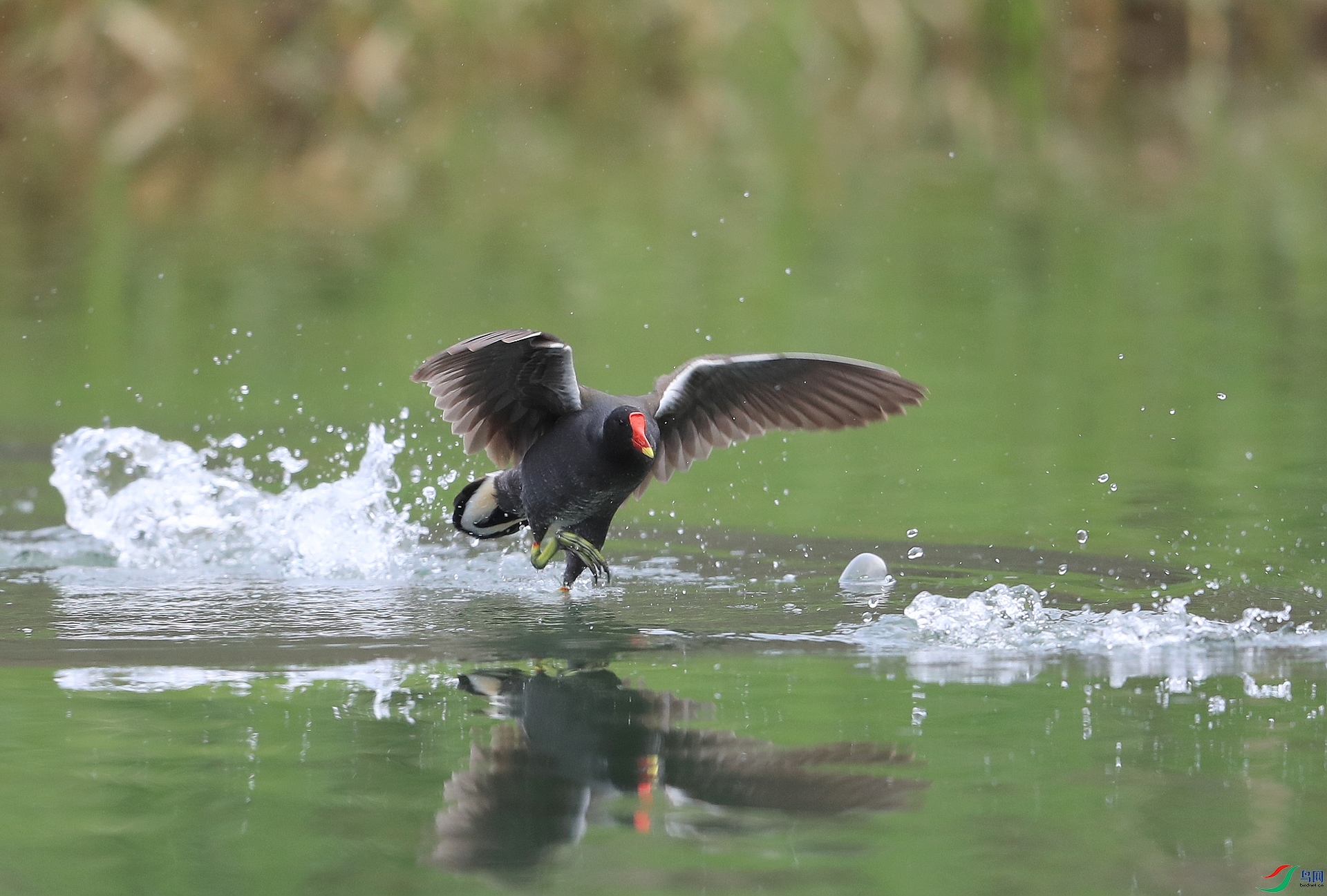 AI0I4782ˮ ��.JPG