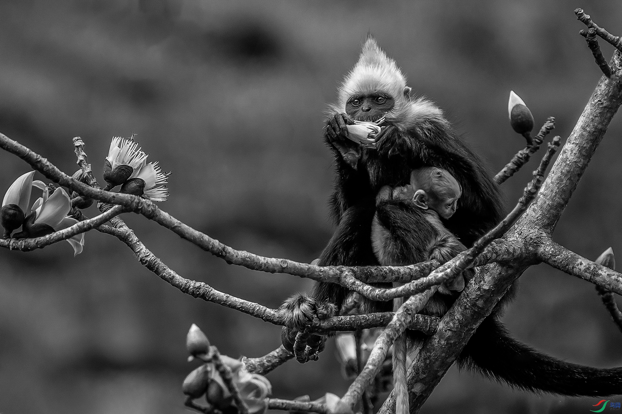 DSC06037 ����a ����.jpg