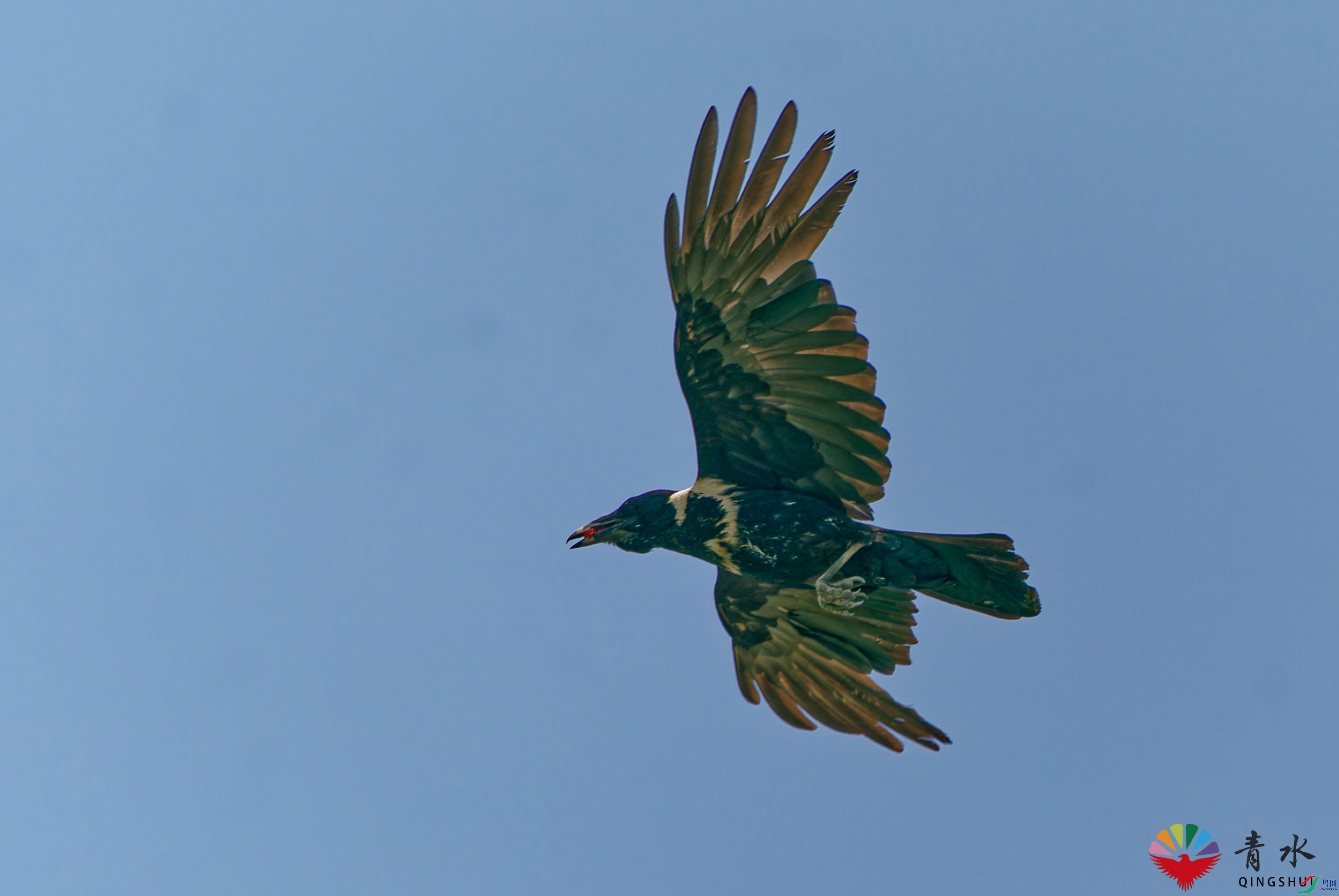 DSC01451_DxO.jpg