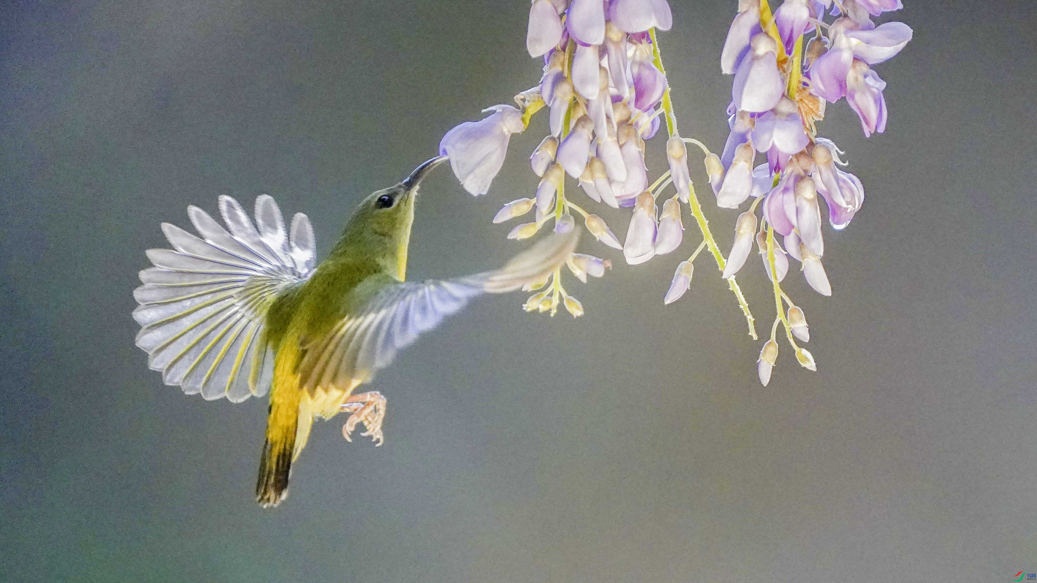 DSC01113 ���� 2.jpg