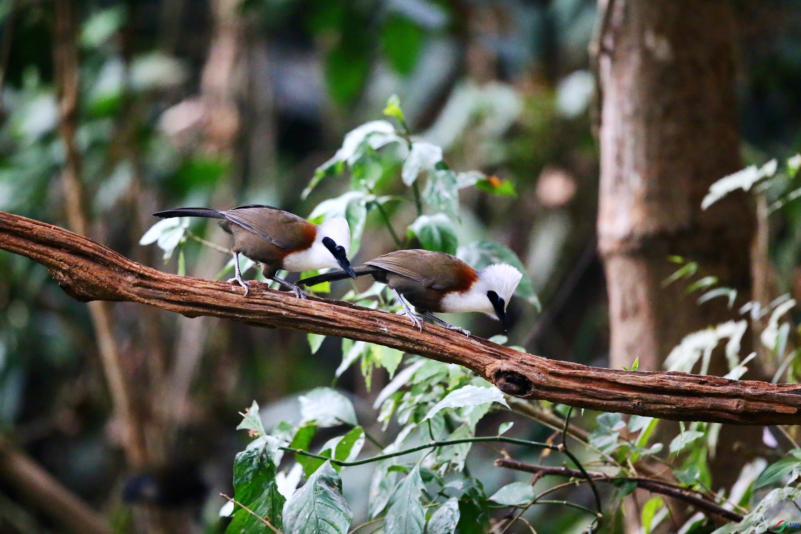 �׹����� (26).JPG